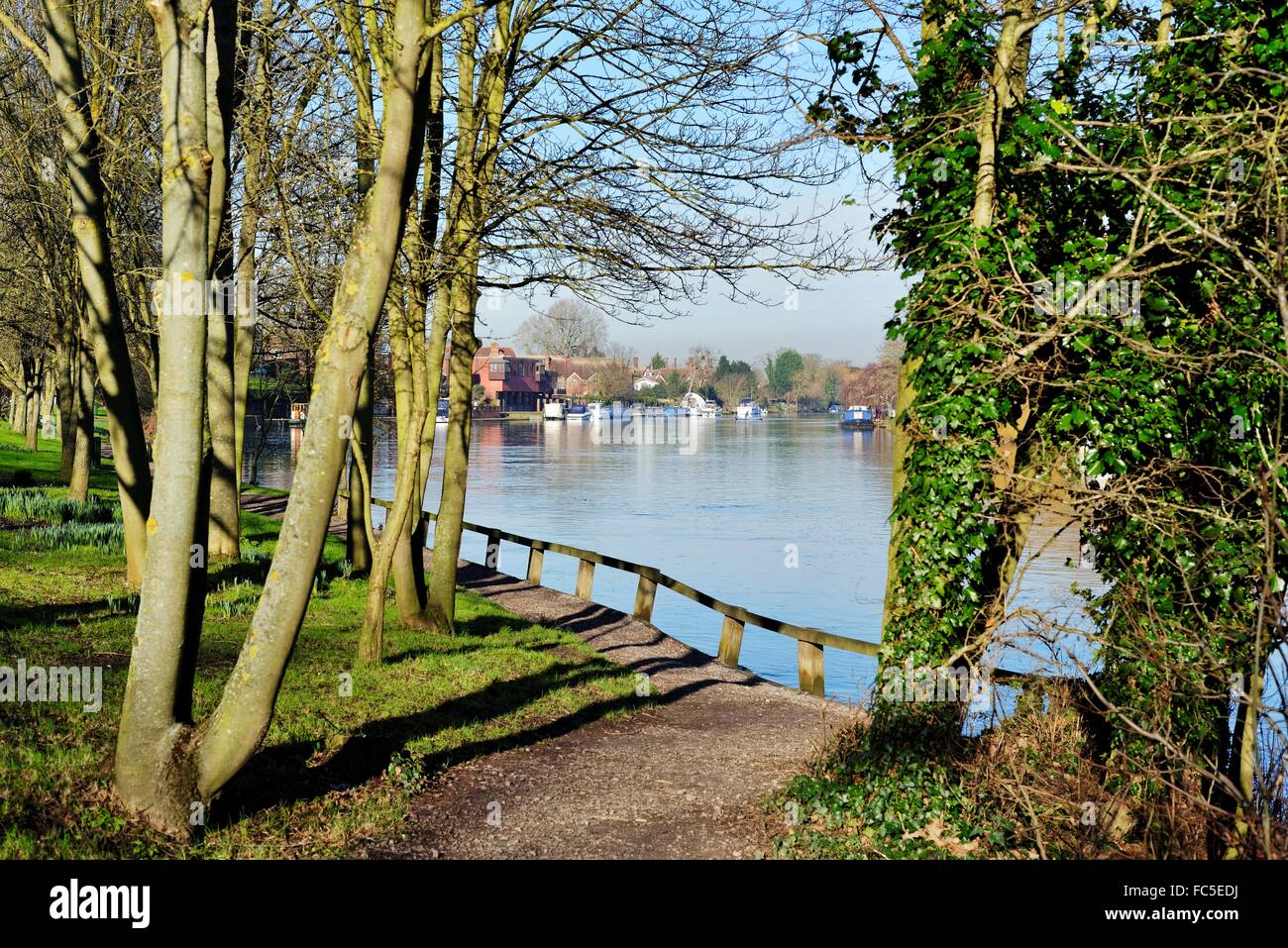 Il fiume Tamigi a Old Windsor Berkshire REGNO UNITO Foto Stock