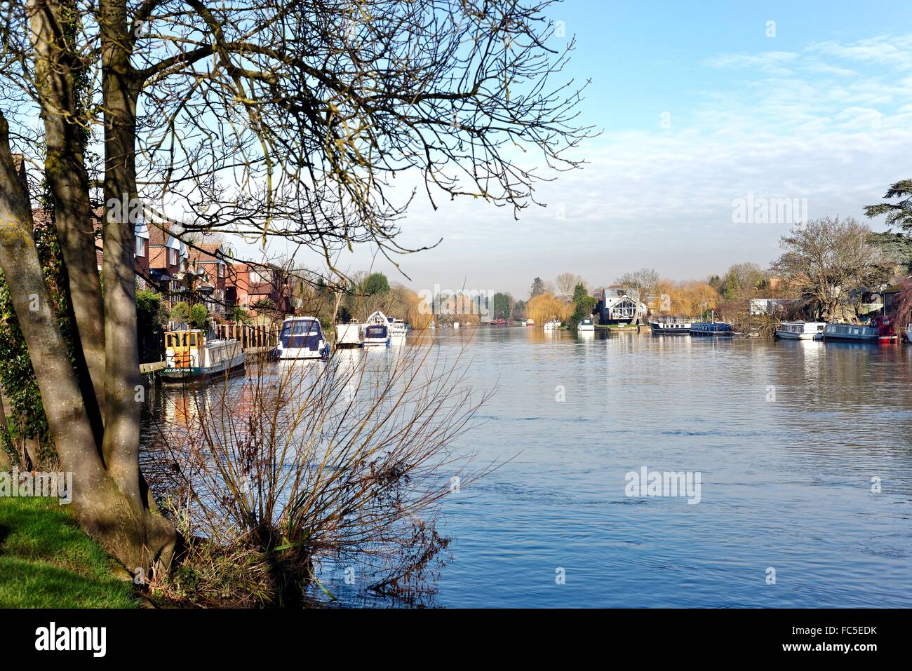 Il fiume Tamigi a Old Windsor Berkshire REGNO UNITO Foto Stock