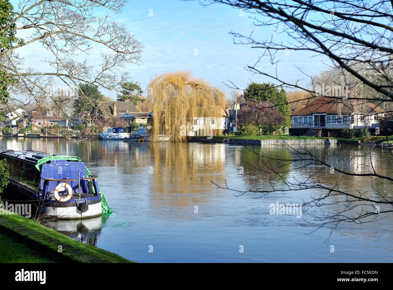 Il fiume Tamigi a Old Windsor Berkshire REGNO UNITO Foto Stock