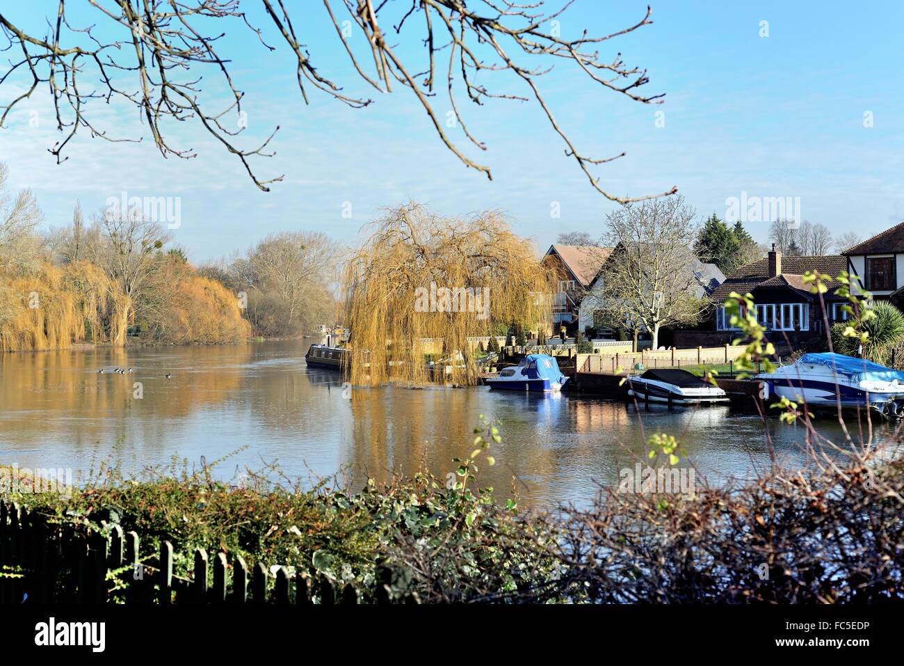 Il fiume Tamigi a Old Windsor Berkshire REGNO UNITO Foto Stock