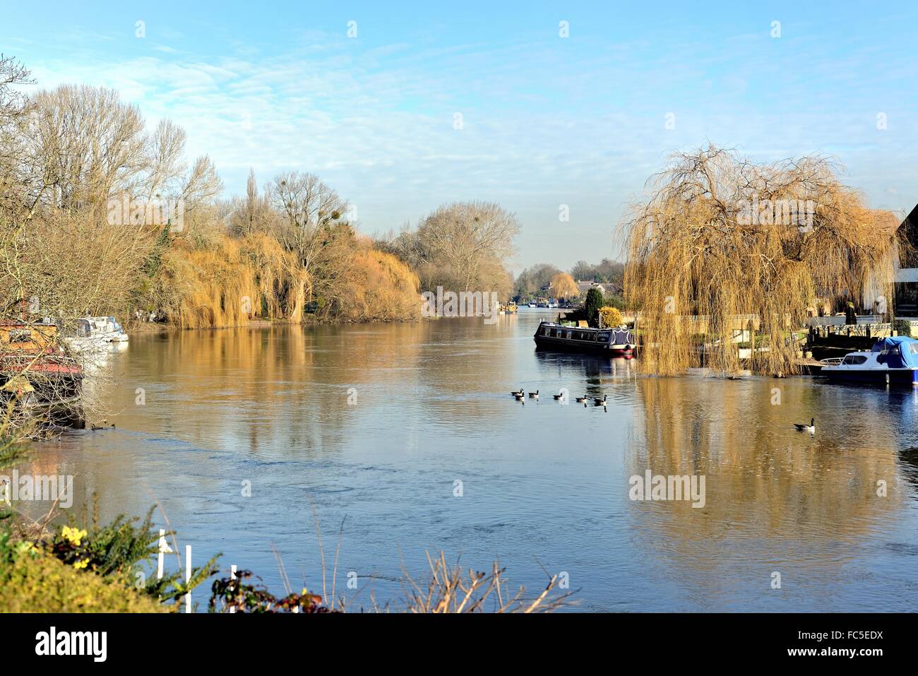 Il fiume Tamigi a Old Windsor Berkshire REGNO UNITO Foto Stock