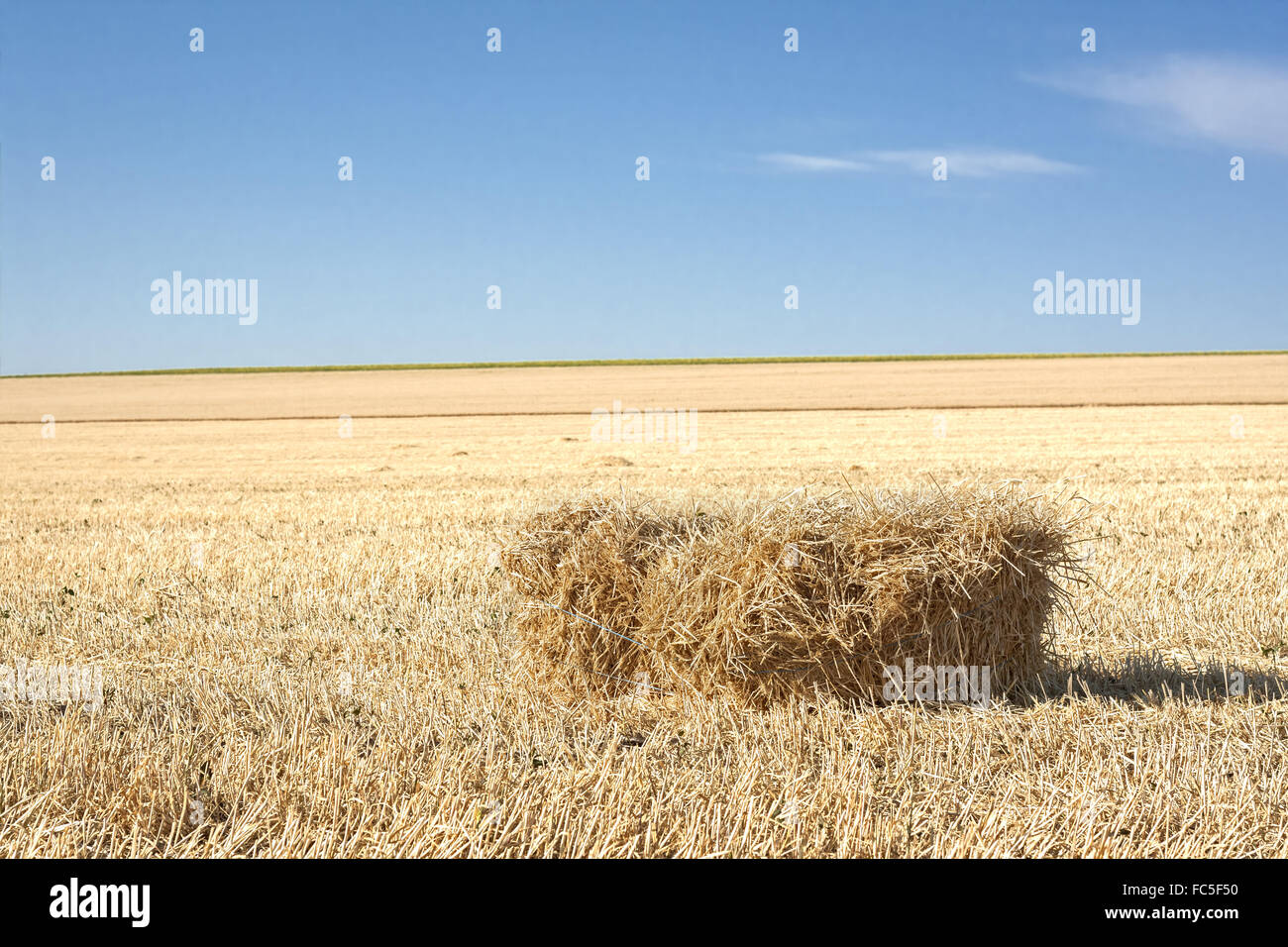 Balla di paglia Foto Stock