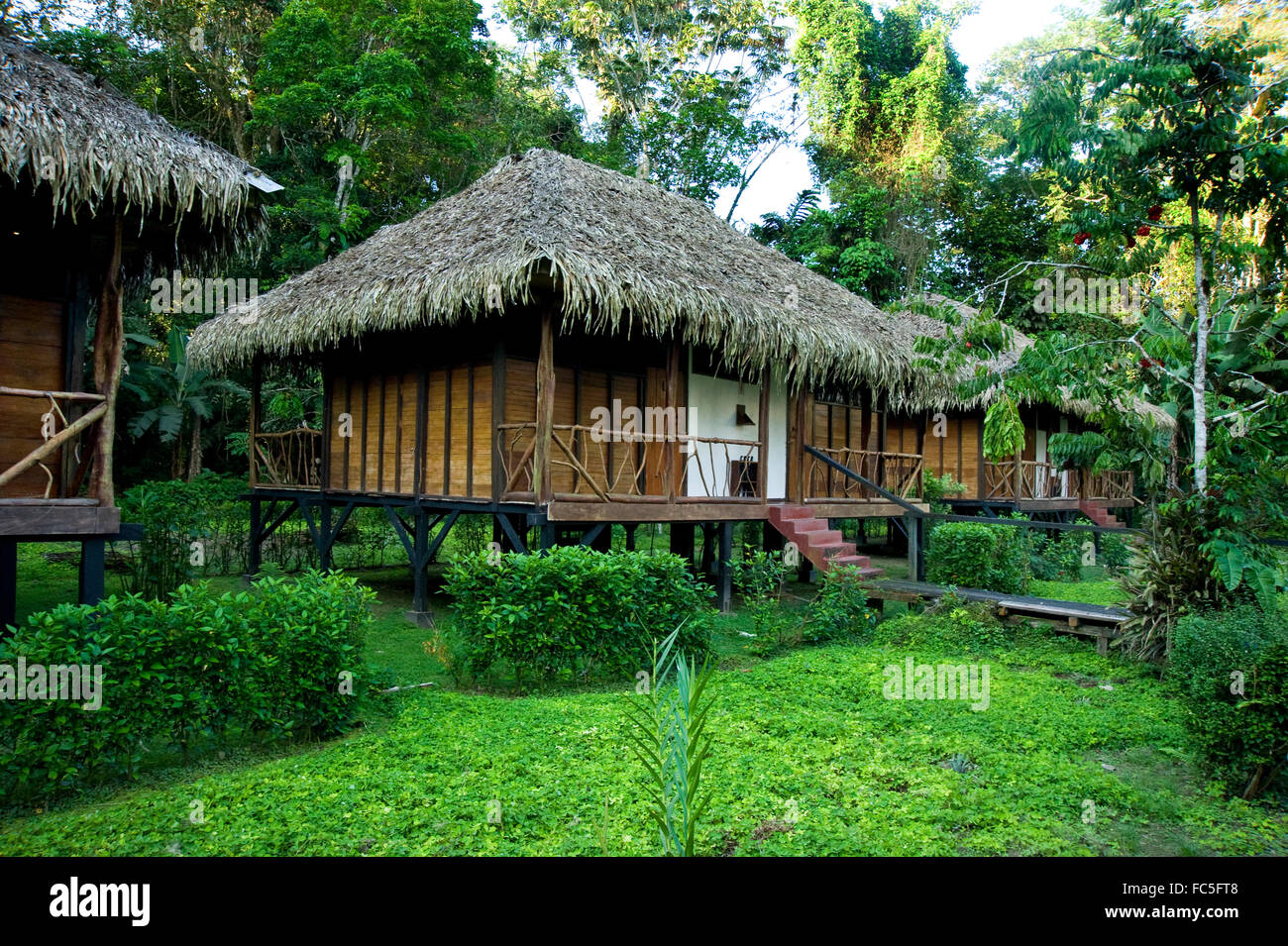 Cabine ospiti nella foresta amazzonica Foto Stock