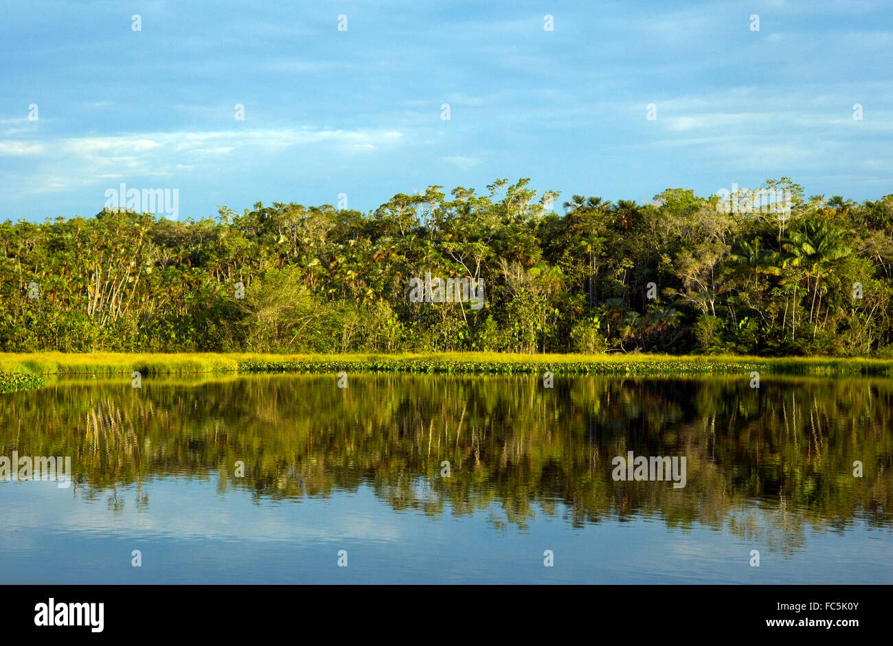 Riflessioni sul fiume del Amazon in Ecuador Foto Stock