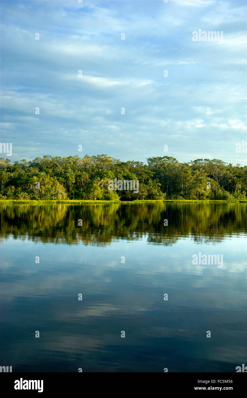 Riflessioni sul fiume del Amazon in Ecuador Foto Stock