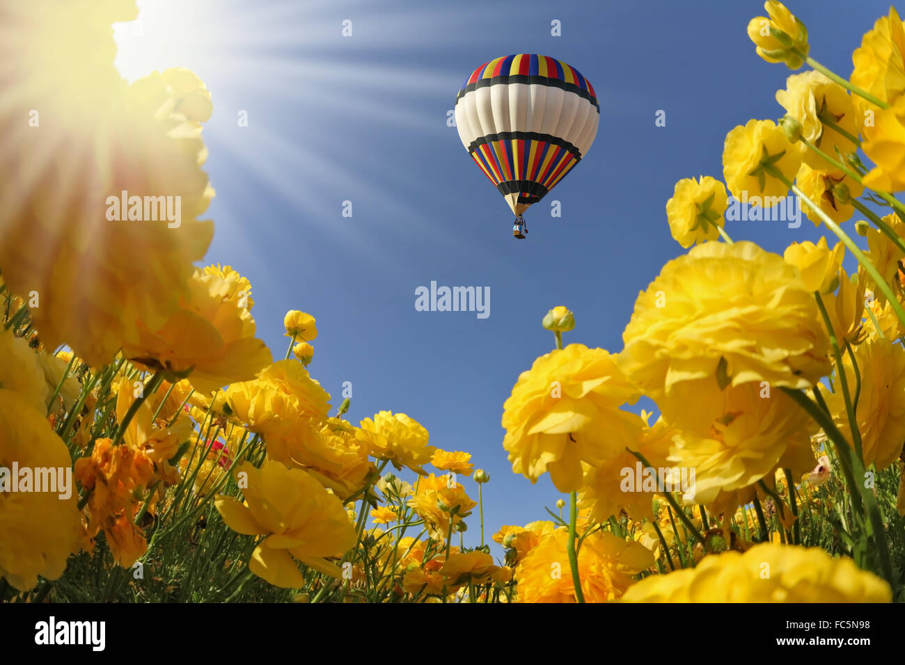 Il sole di primavera brilla di palloni aerostatici Foto Stock
