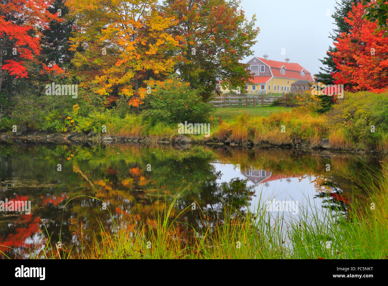 Salsbury Cove, isola di Mount Desert, Maine, Stati Uniti d'America Foto Stock