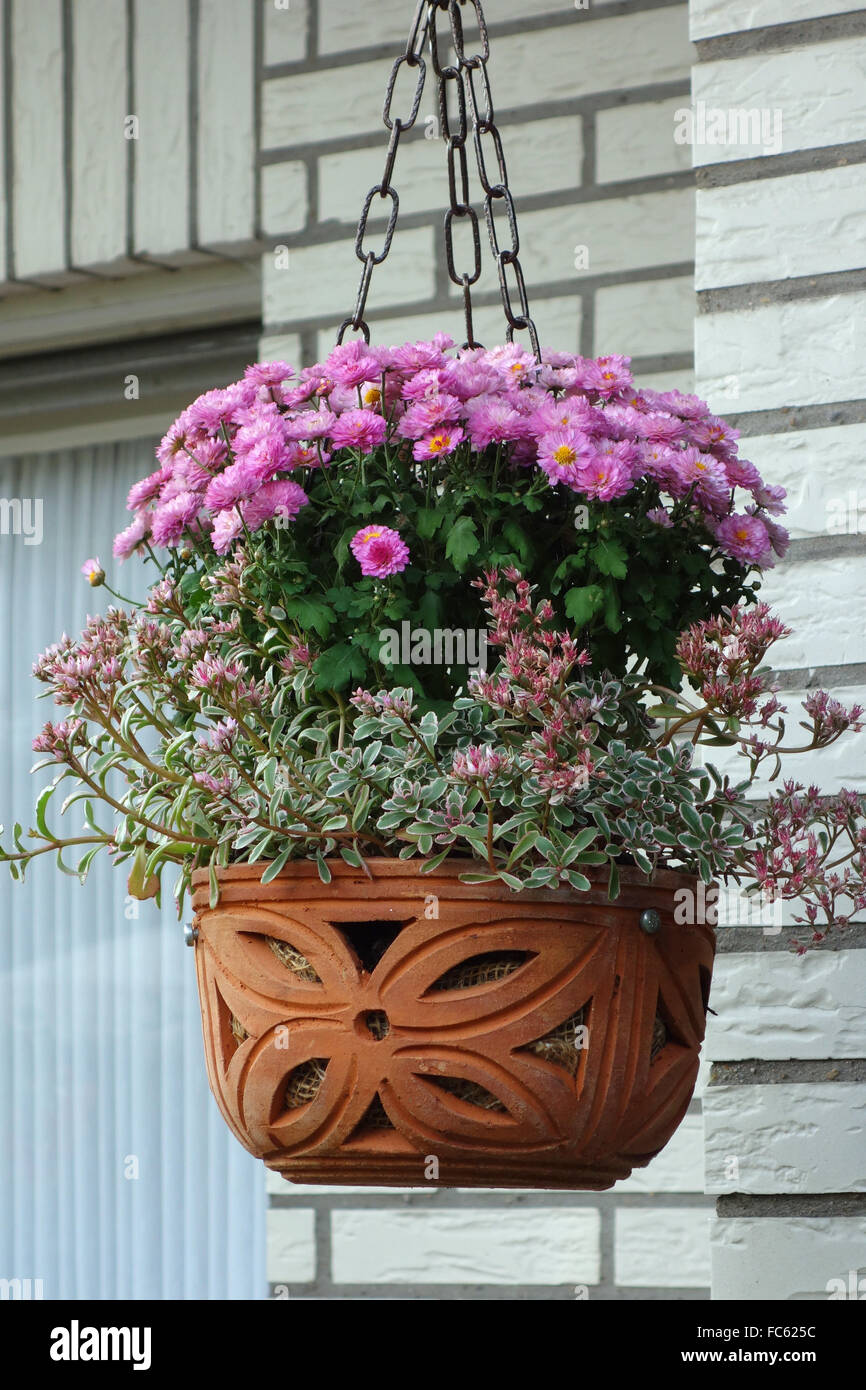 Appendere il cestello con fiori di autunno Foto Stock