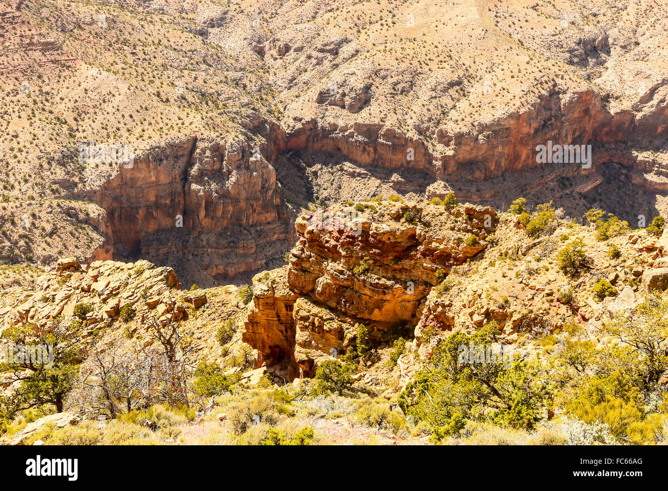 Bordo del Grand Canyon Foto Stock