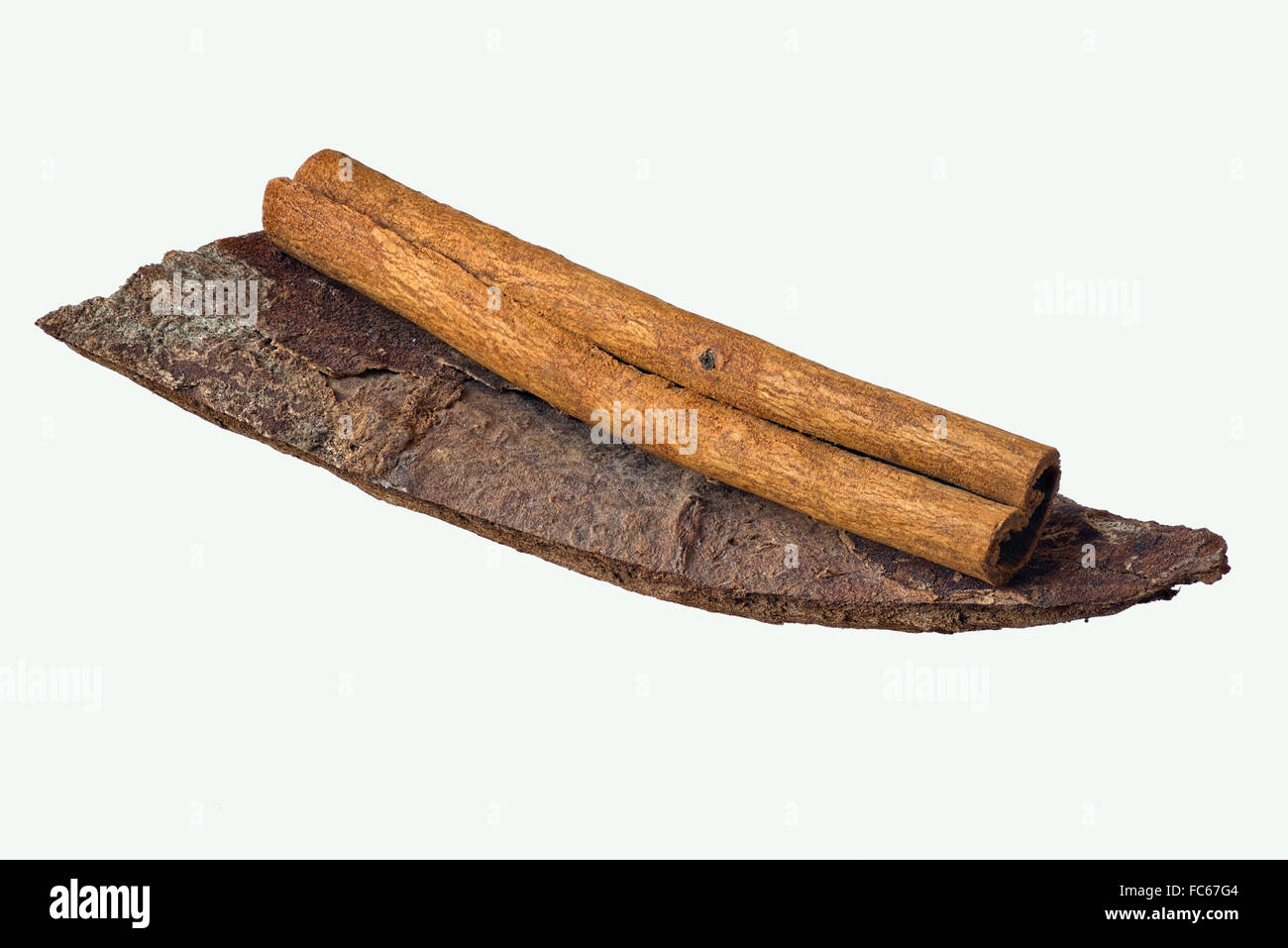 Cannella di Ceylon Cassia e cannella Foto Stock