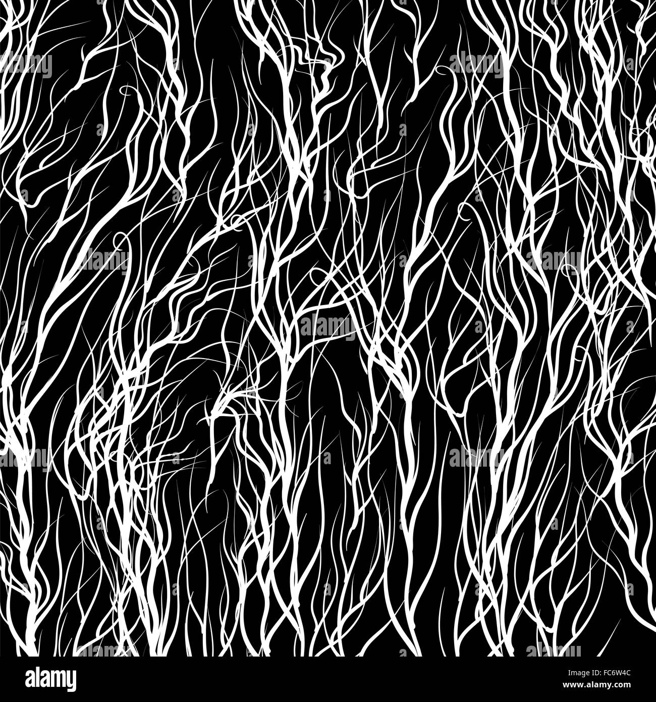 Alberi bianchi Foto Stock