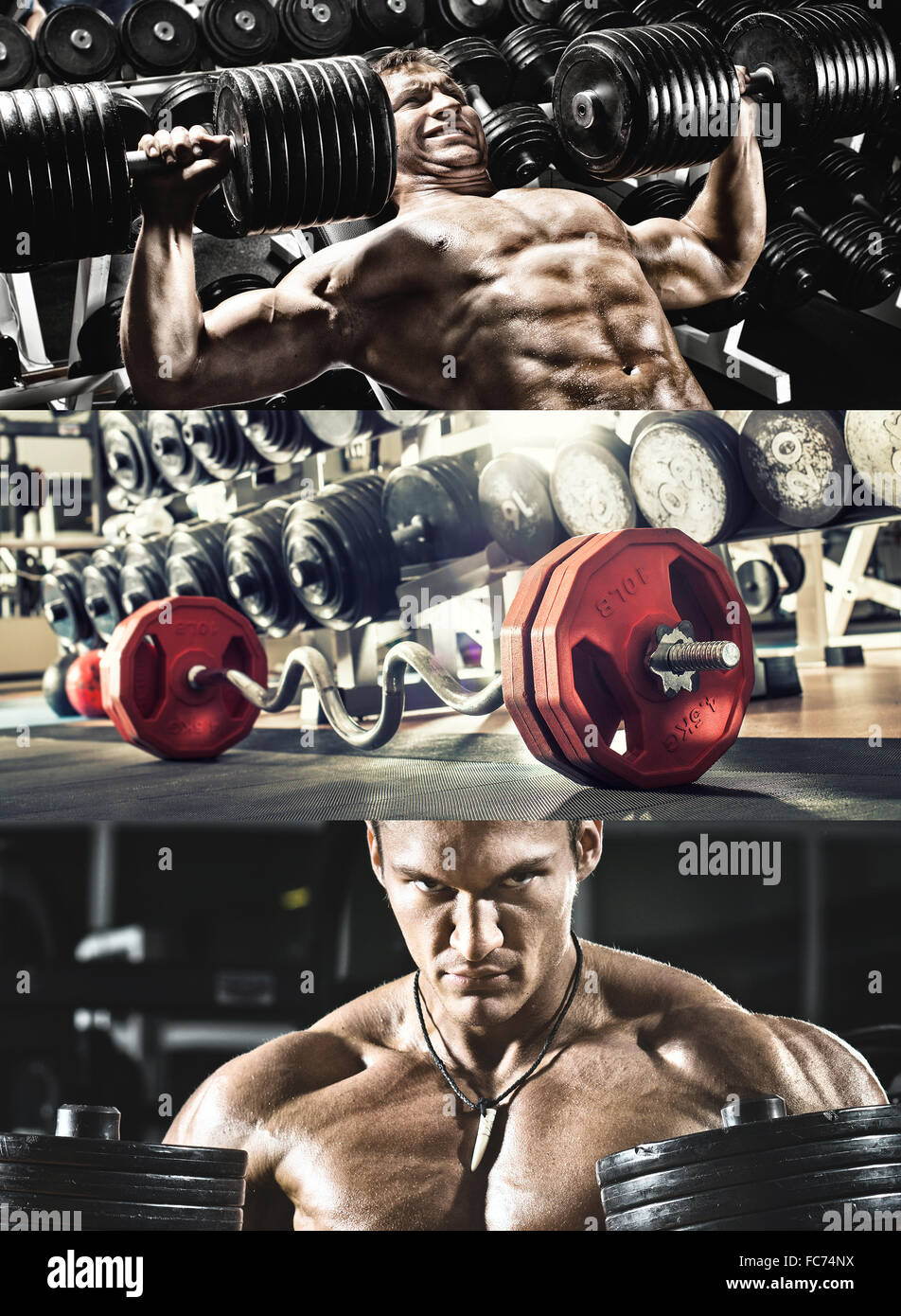 Bodybuilding Foto Stock