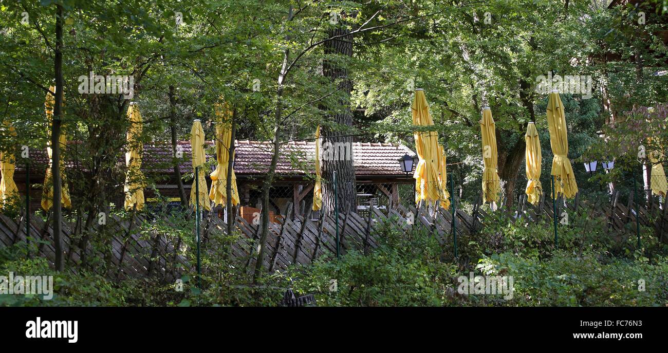 Pub recintato giardino con il giallo sole Ombrelloni Foto Stock