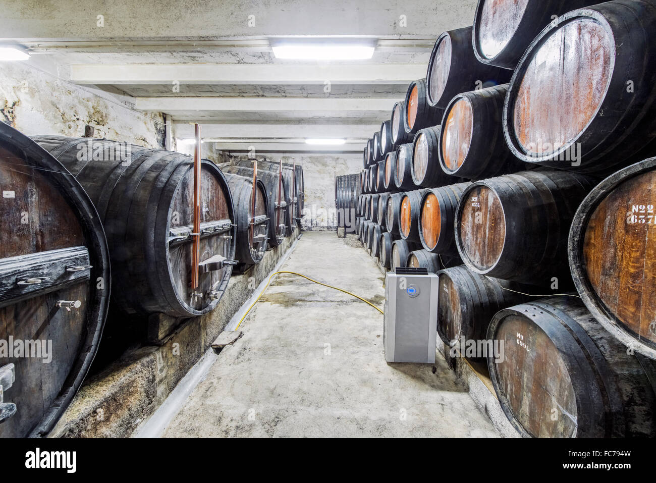 Botti di invecchiamento del vino in cantina Foto Stock