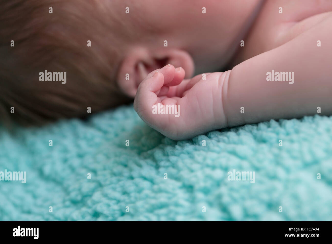 Vista ravvicinata della piccola mano e orecchio di un mese di old baby boy Foto Stock