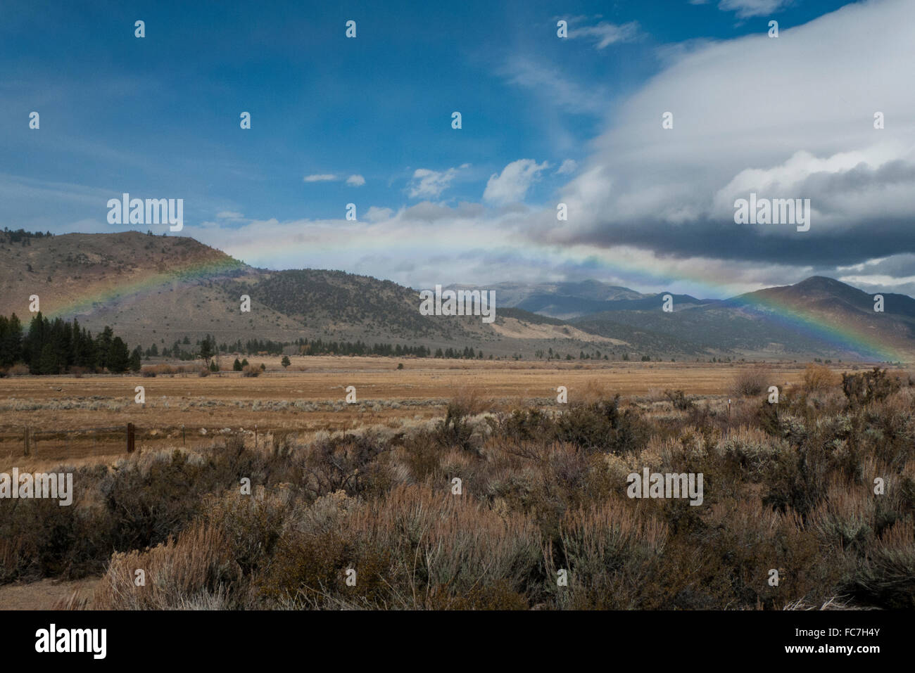 Rainbow su remoto campo deserto Foto Stock