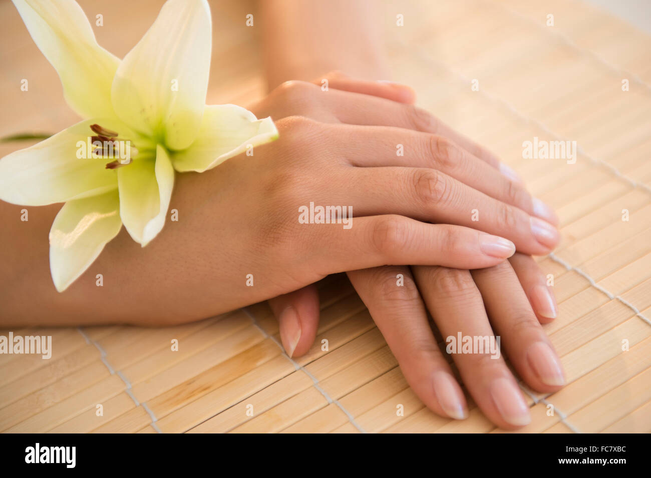 Le mani della donna ispanica con fiore Foto Stock