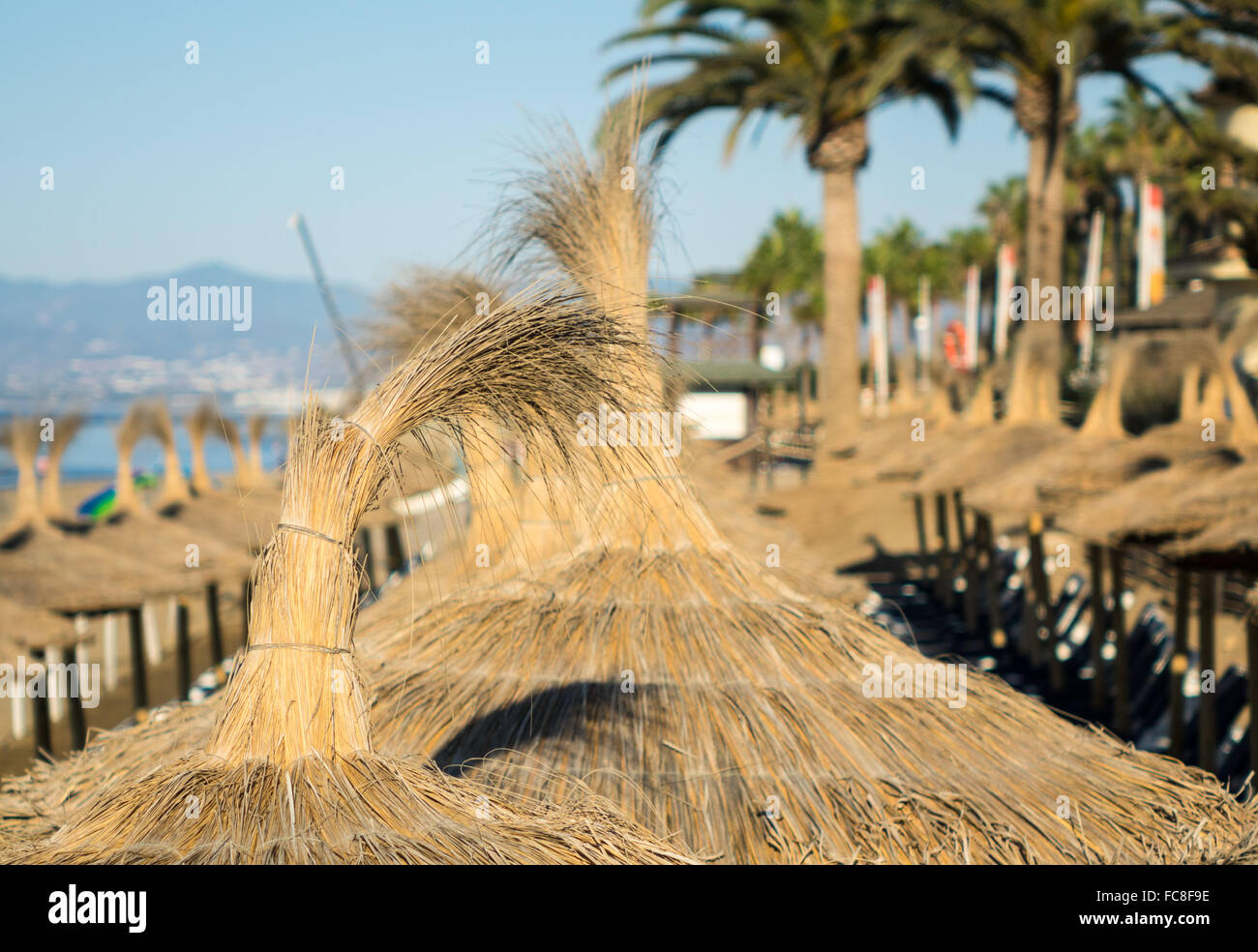 Ombrelloni sopra i lettini sulla spiaggia Foto Stock