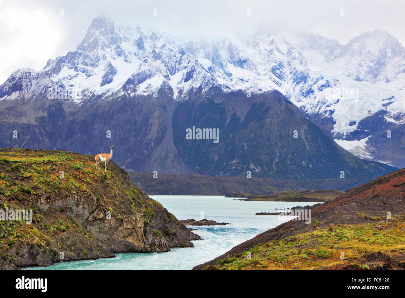 Neverland Patagonia. Montagne innevate Foto Stock