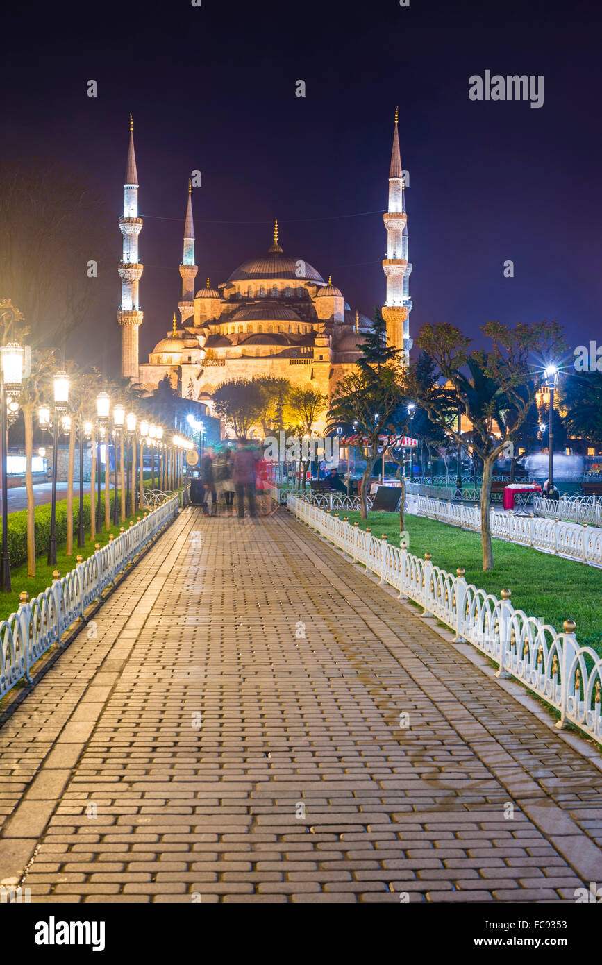 La Moschea Blu (Sultan Ahmed Moschea), il Sito Patrimonio Mondiale dell'UNESCO, in Piazza Sultanahmet Park e dei giardini di notte, Istanbul, Turchia Foto Stock