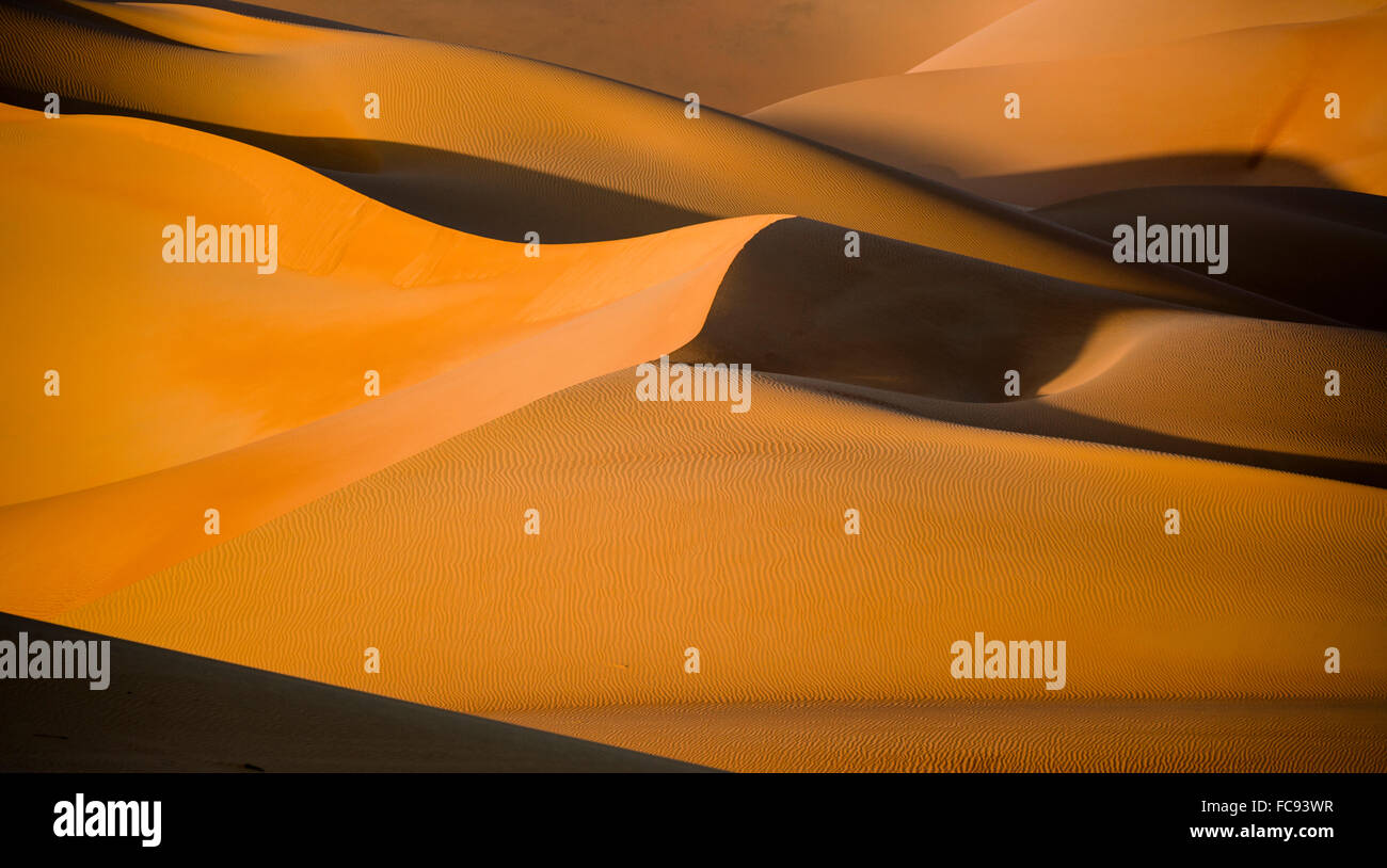 Forme e strutture e modelli, luce e ombra sulle dune di sabbia, Rub' al Khali o Empty Quarter, Emirati Arabi Uniti Foto Stock