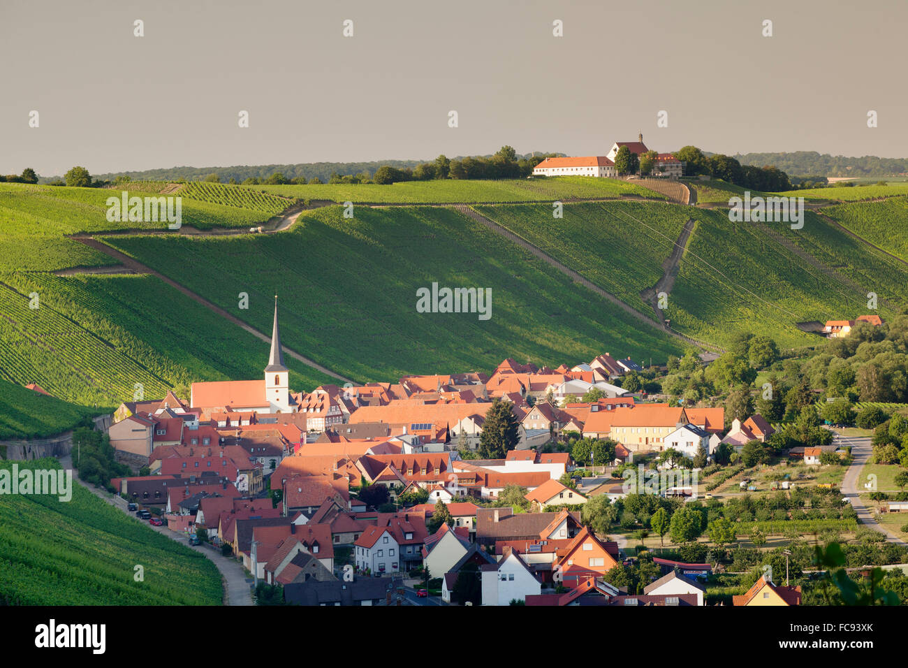Il villaggio del vino di Escherndorf e Vogelsburg Castello, Volkacher Mainschleife, Mainfranken, bassa Franconia, Baviera, Germania Foto Stock