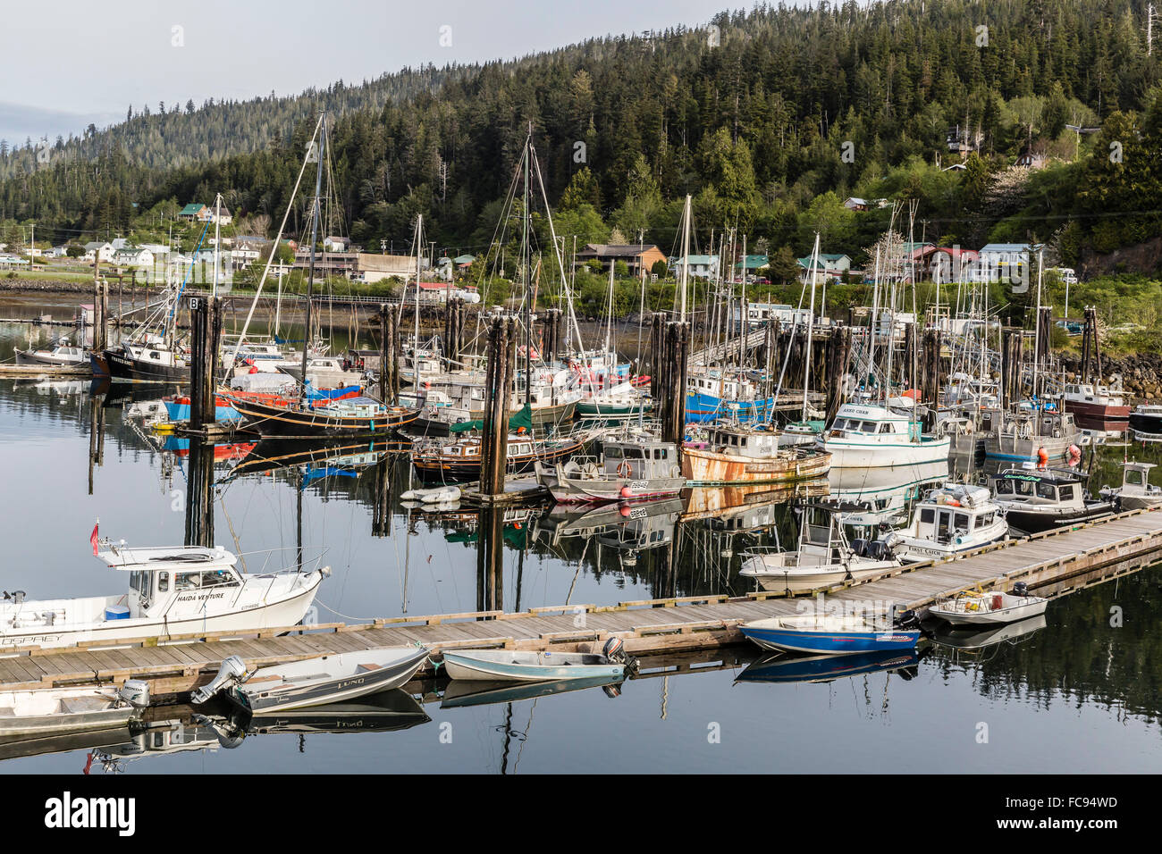 Queen Charlotte porto cittadino, Bearskin Bay, Haida Gwaii (Queen Charlotte isole), British Columbia, Canada, America del Nord Foto Stock