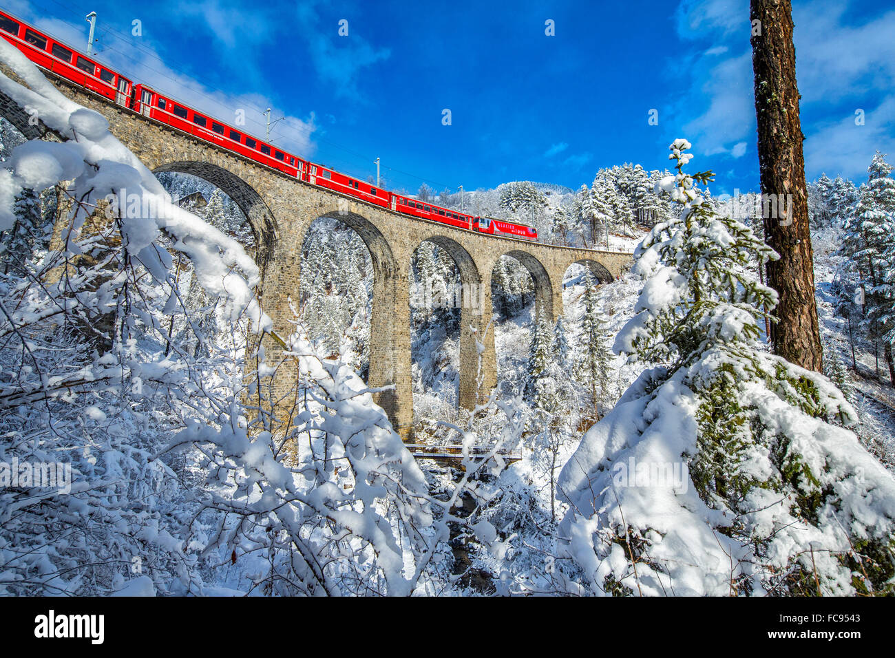 Bernina Express passa attraverso i boschi innevati intorno a Filisur, Canton Grigioni (Grigioni), Svizzera, Europa Foto Stock