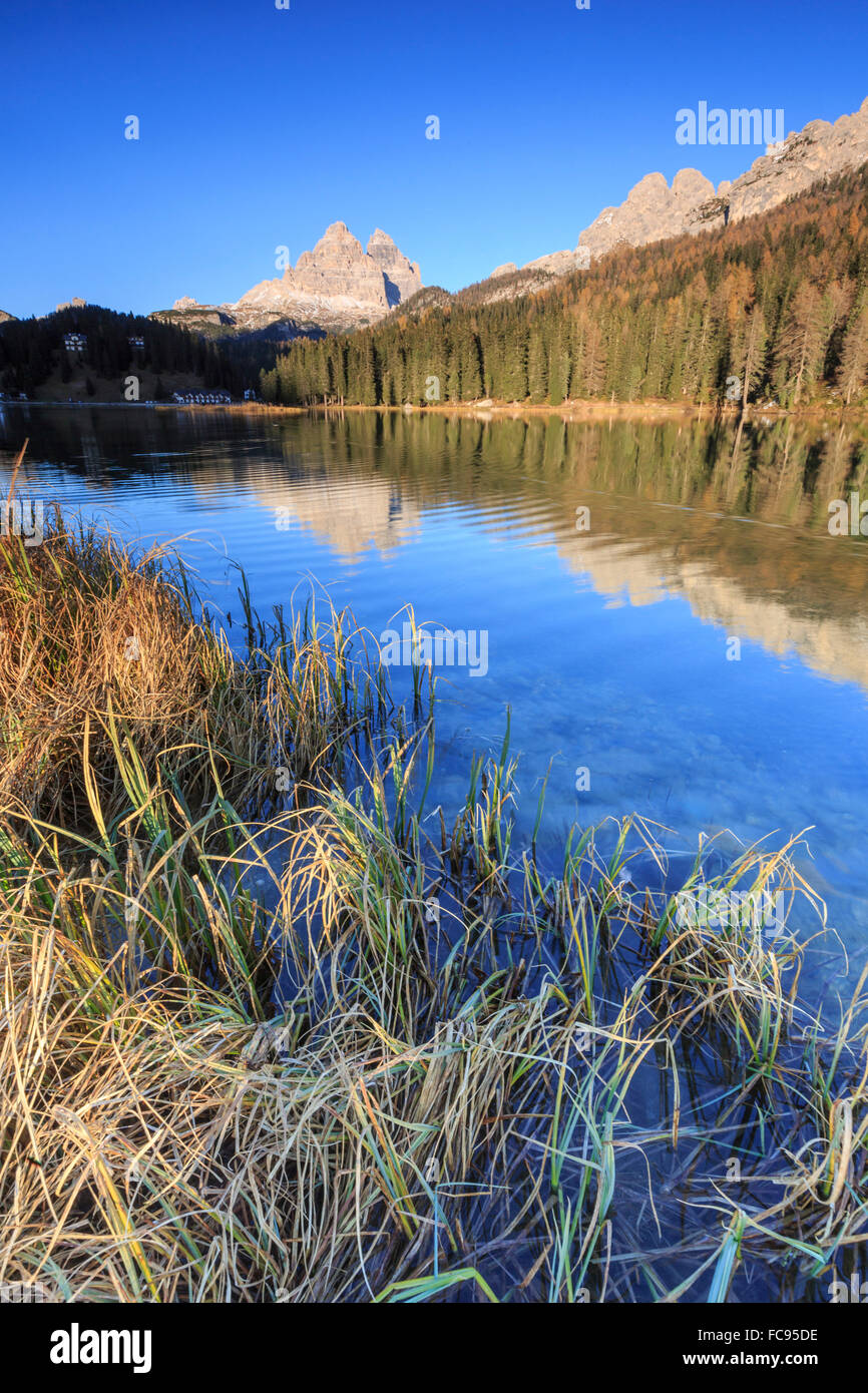 Le Tre Cime di Lavaredo e boschi si riflette nel Lago di Misurina, Auronzo di Cadore, Dolomiti, Veneto, Italia, Europa Foto Stock