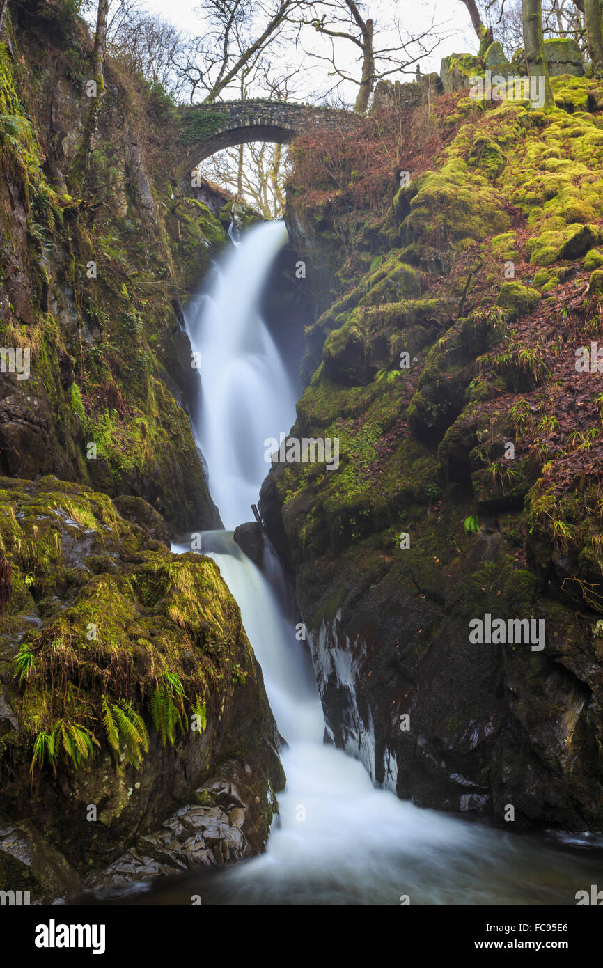 Aira Force cascata in inverno, vicino Dockray, Parco Nazionale del Distretto dei Laghi, Cumbria, England, Regno Unito, Europa Foto Stock