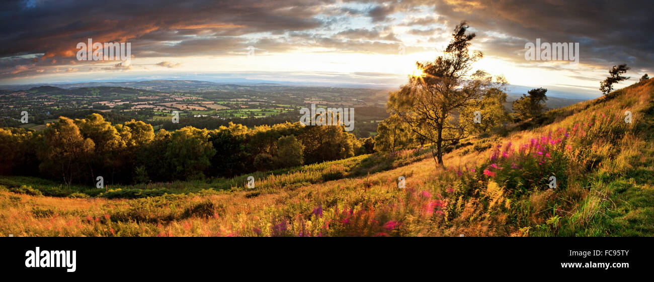 Malvern Hills, Malvern, Worcestershire, England, Regno Unito, Europa Foto Stock