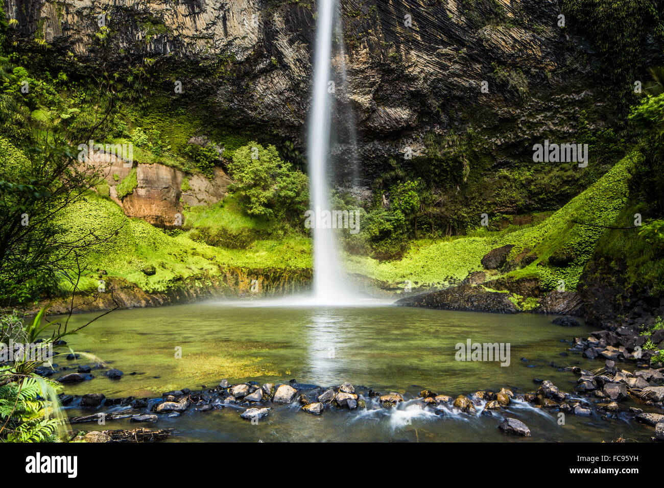 Bridal Veil Falls (Waireinga) vicino a Raglan, Waikato, Isola del nord, Nuova Zelanda, Pacific Foto Stock