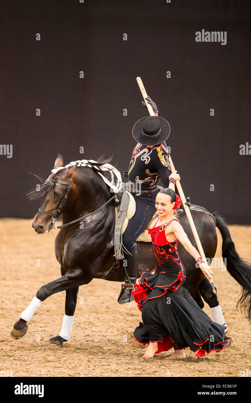 Cavallo andaluso. Rider con Garrocha pole su una baia a cavallo ballare con  una ballerina di Flamenco. Germania Foto stock - Alamy
