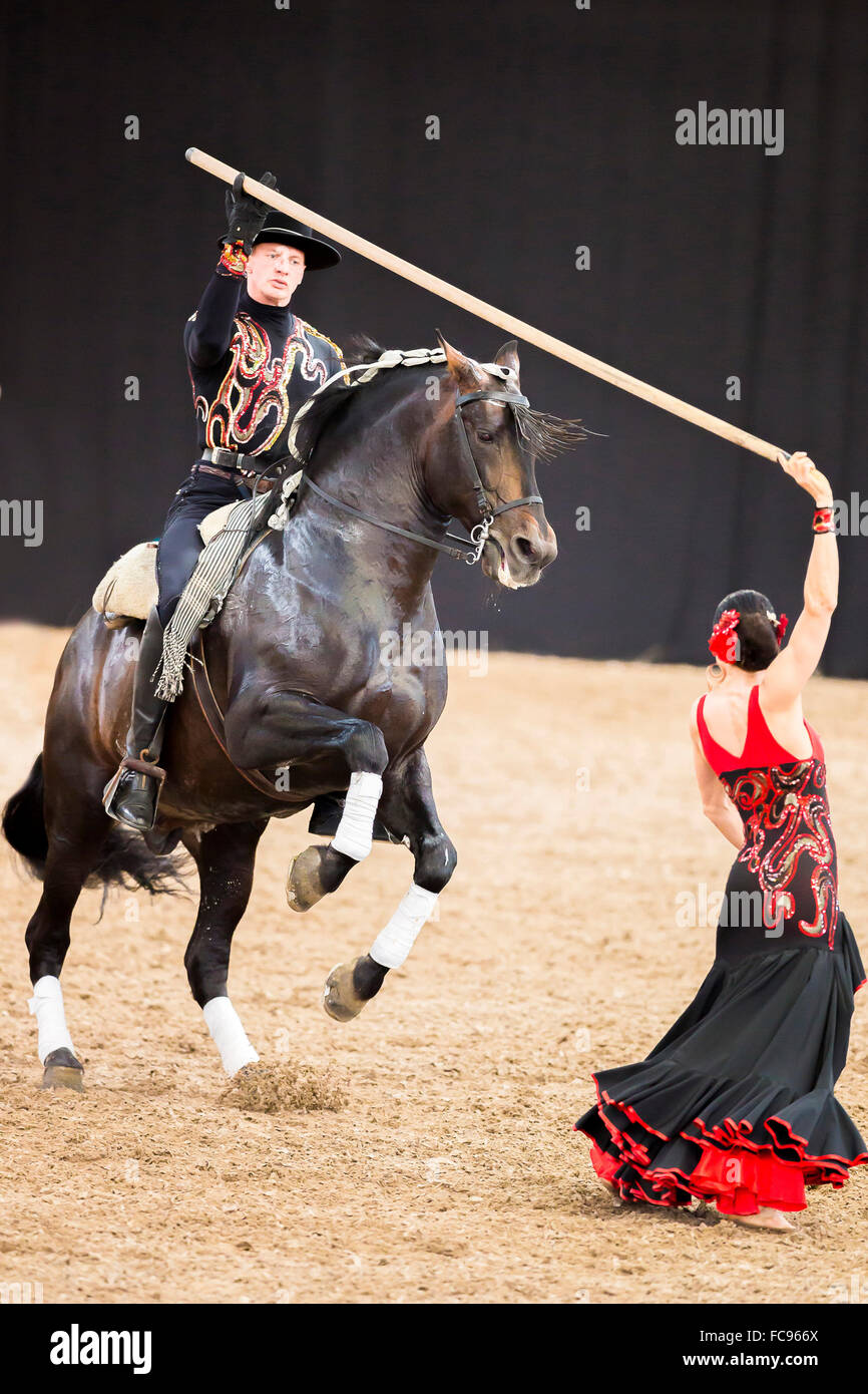 Danza e cavallo di flamenco spagnolo immagini e fotografie stock ad alta  risoluzione - Alamy