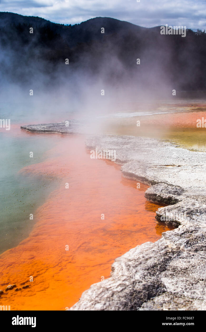 Wai-O-Tapu Thermal Wonderland, Rotorua, Isola del nord della Nuova Zelanda e del Pacifico Foto Stock