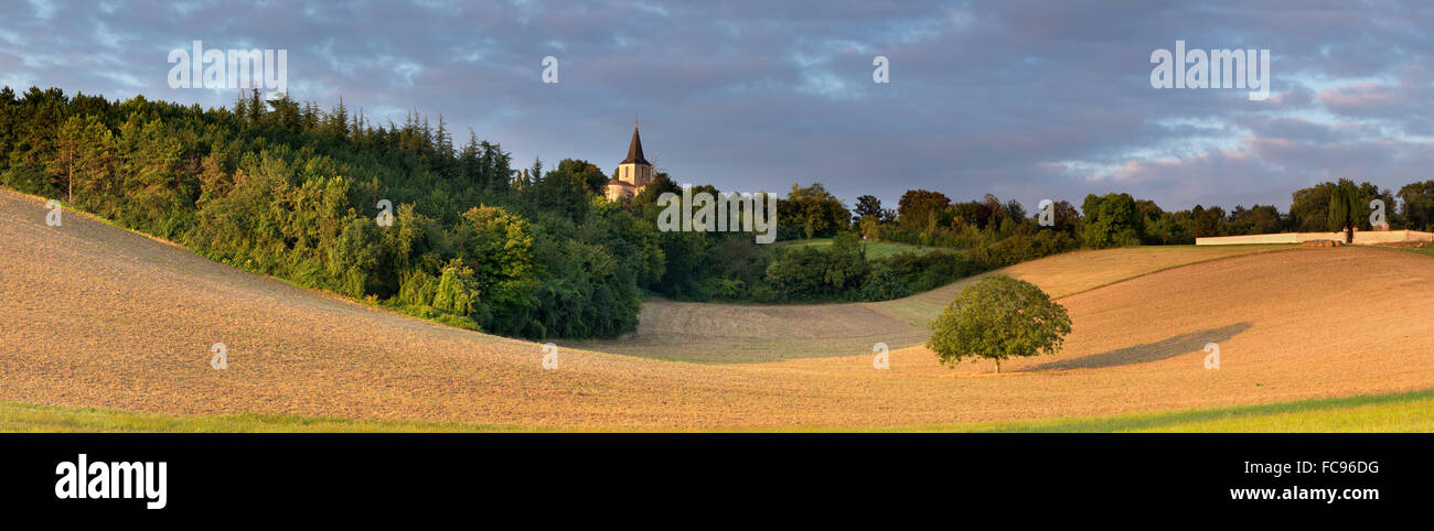 Chatignac, Charente, Francia, Europa Foto Stock