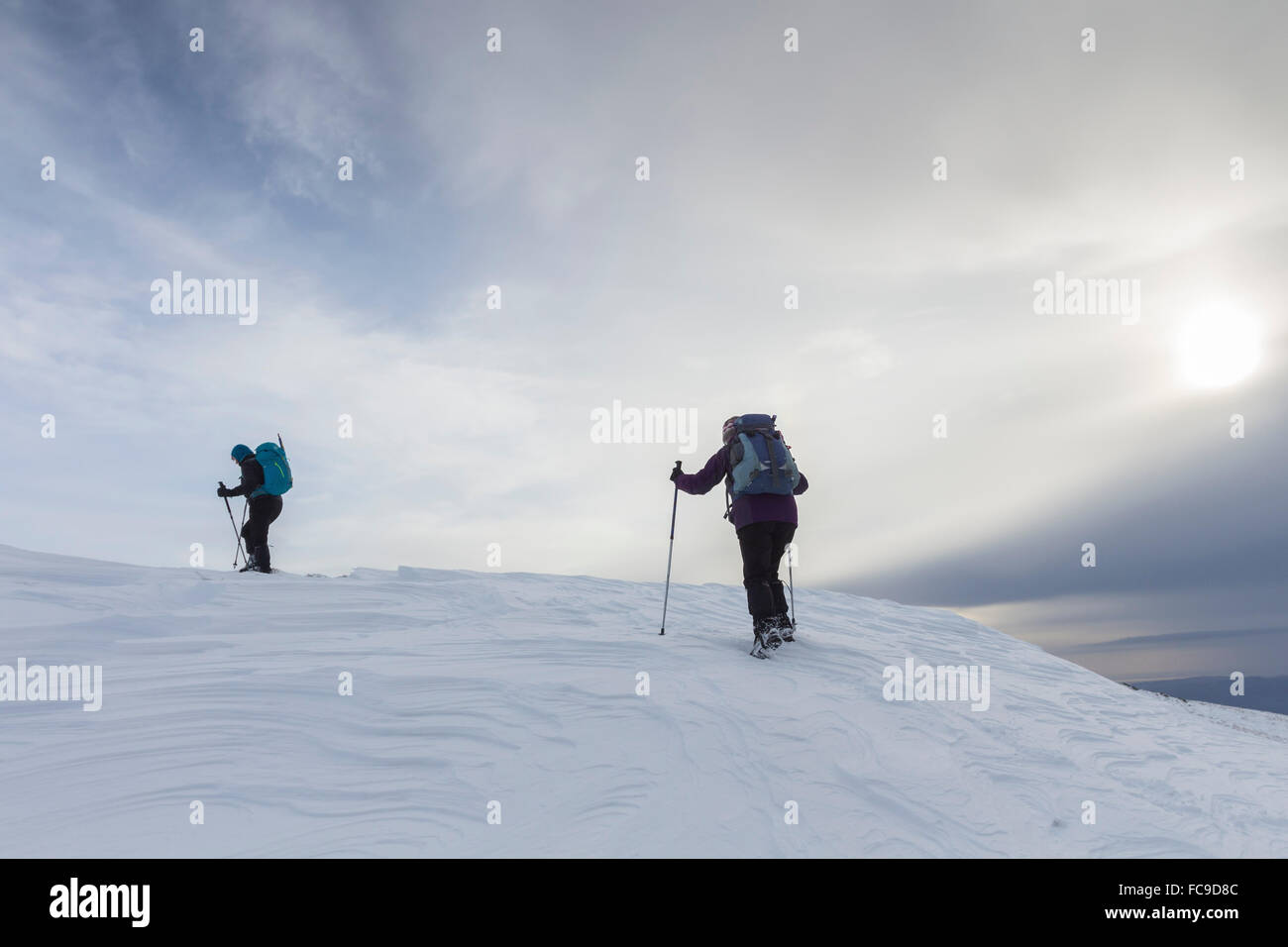 Walkers risalendo il bordo irregolare sulla Caudale Moor sul vento sgommati neve, Lake District Cumbria Regno Unito Foto Stock