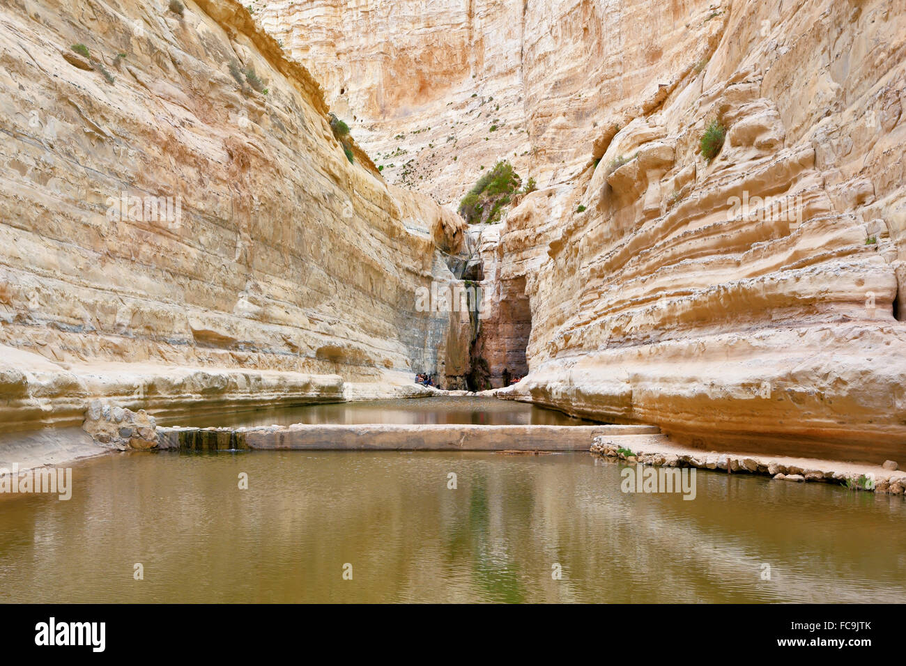 Canyon Ein Avdat in Israele Foto Stock