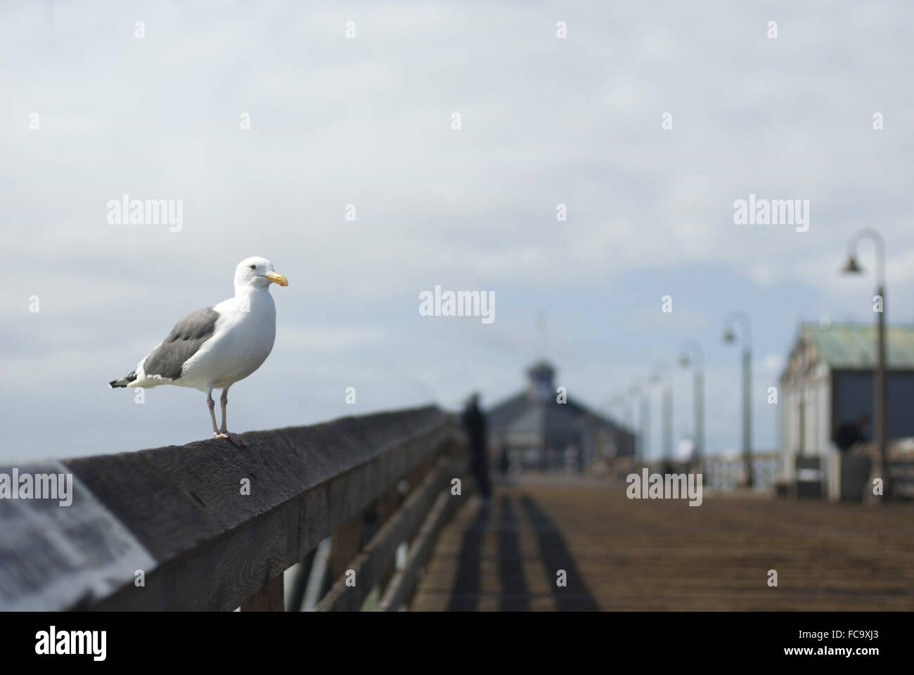 Imperial Beach Pier Foto Stock