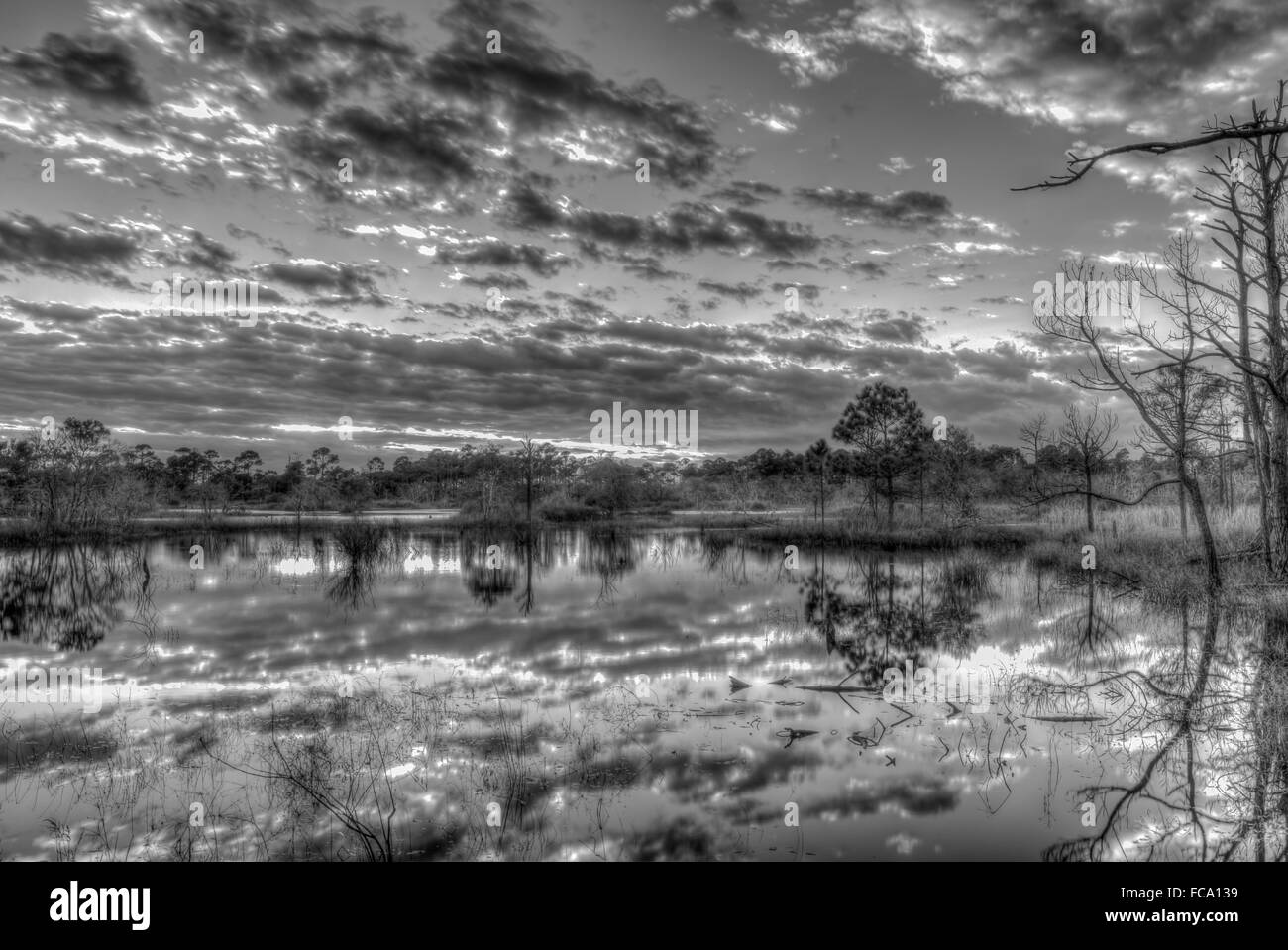 In bianco e nero il tramonto a St. Andrews State Park, Panama City, Florida Foto Stock