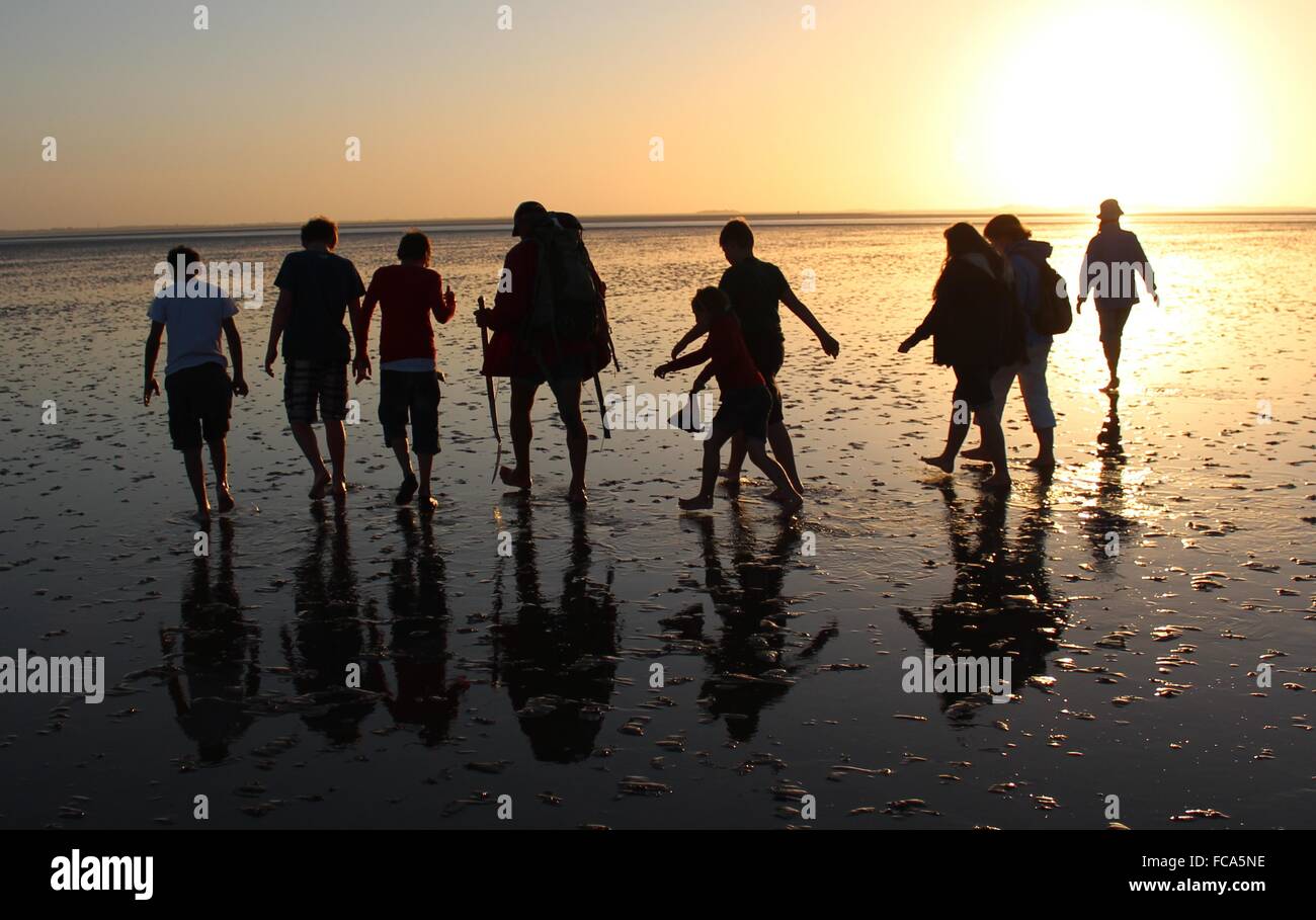 Piana di fango vagare al tramonto Foto Stock