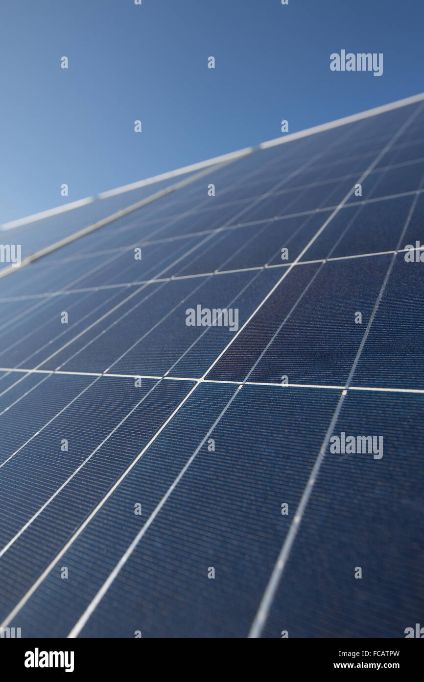 Energia solare agriturismo vicino a Walterboro, Carolina del Sud. Foto Stock