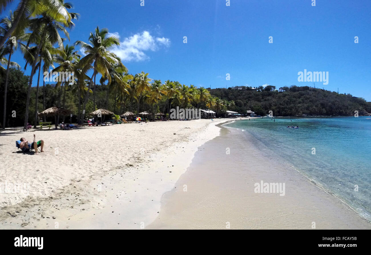 Honeymoon Beach, Druif Bay, Isole Vergini americane. Foto Stock