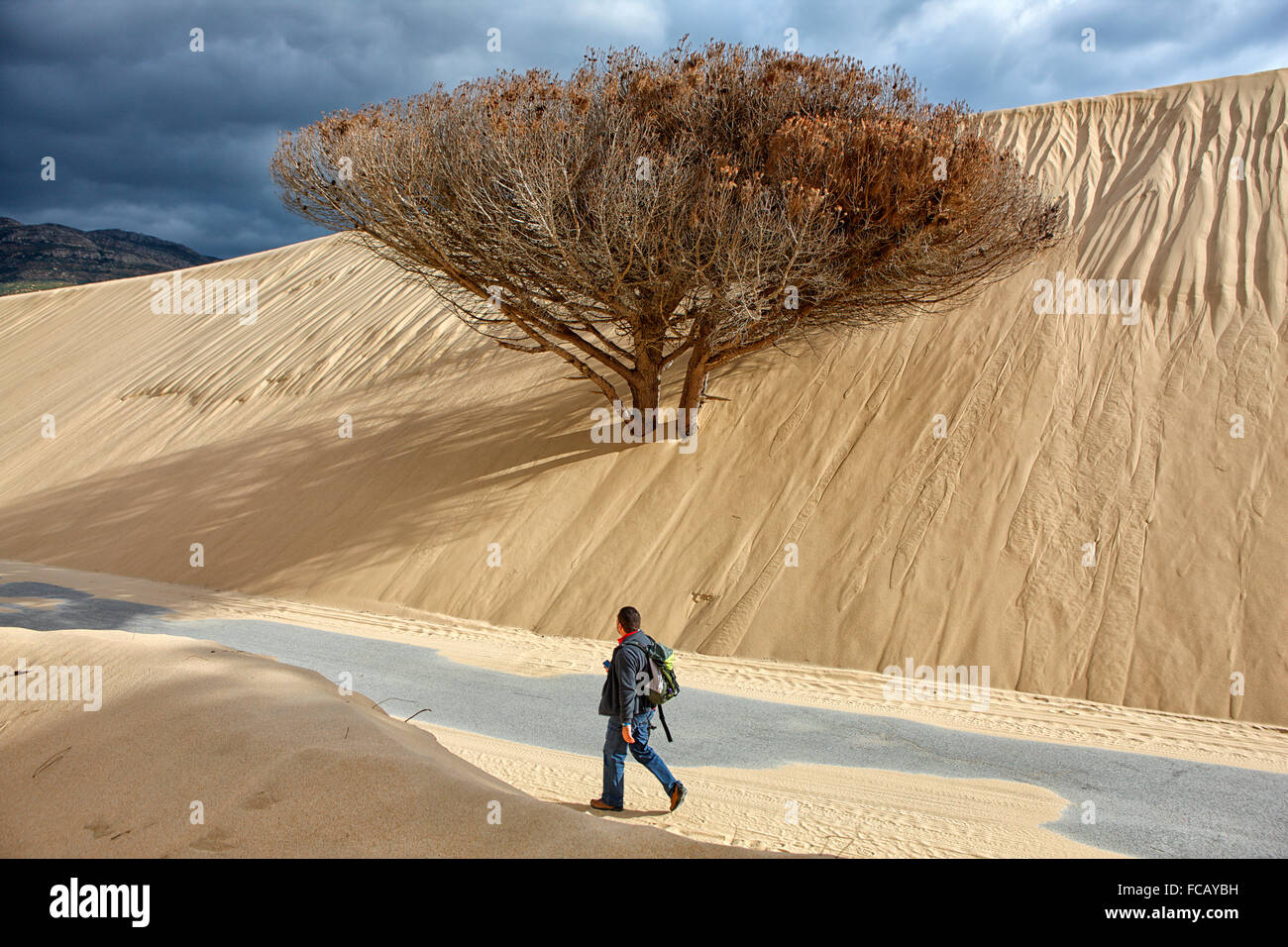 Bologna dune è una duna di sabbia oltre trenta metri di altezza si trova a nord-ovest della baia di Bolog verso Punta Camarinal sull'Atlantico Foto Stock
