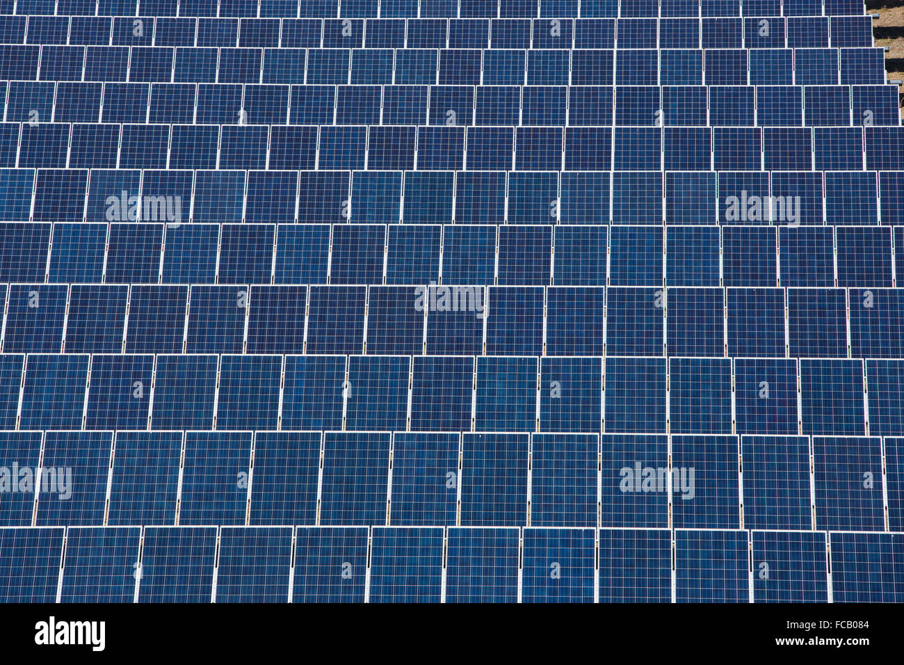 Energia solare agriturismo vicino a Walterboro, Carolina del Sud. Foto Stock