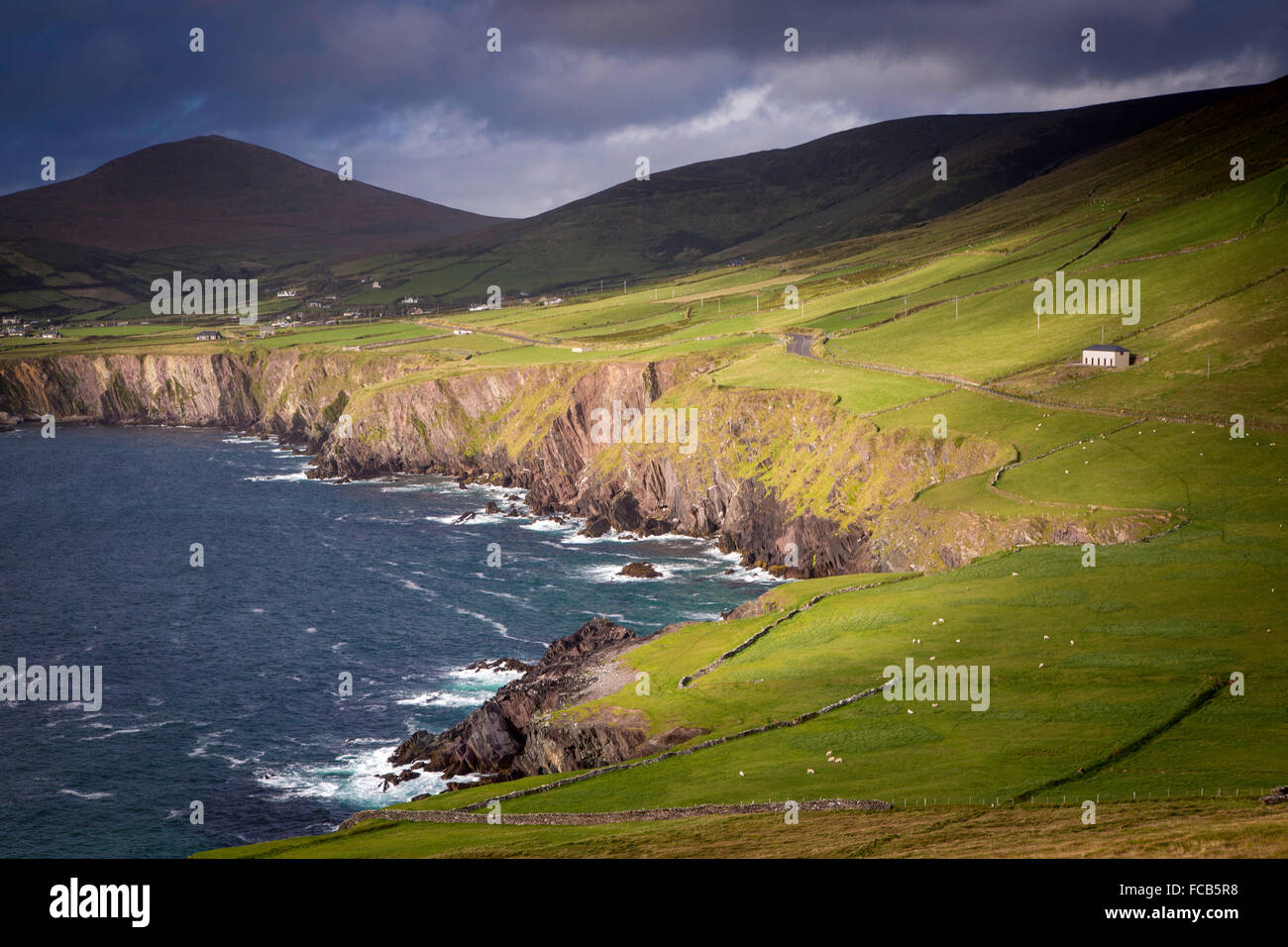 Luce del sole serale oltre la campagna e il litorale della penisola di Dingle, nella contea di Kerry, Irlanda Foto Stock