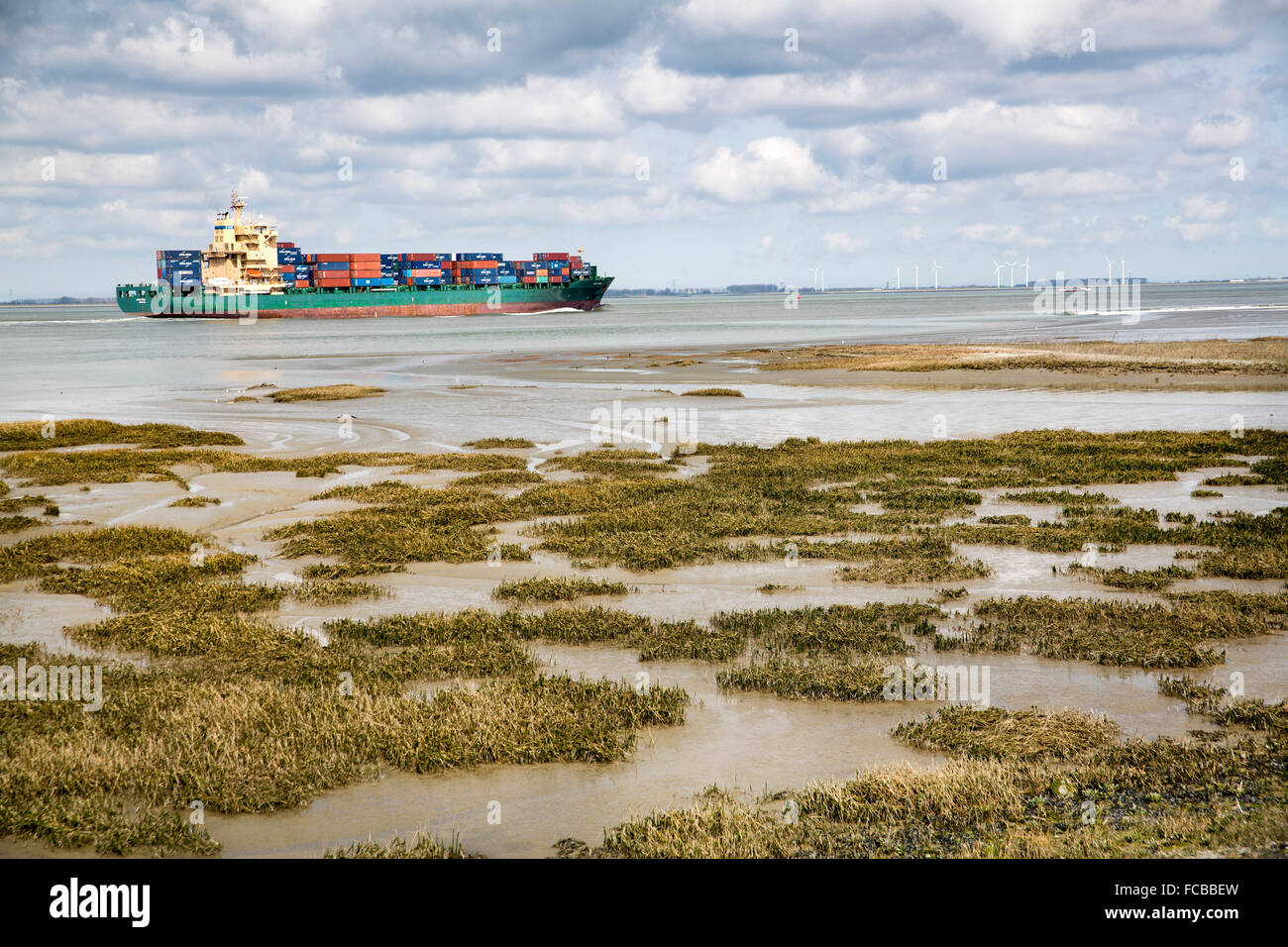 Paesi Bassi, Ossenisse, fiume Westerschelde. Nave Container Foto Stock