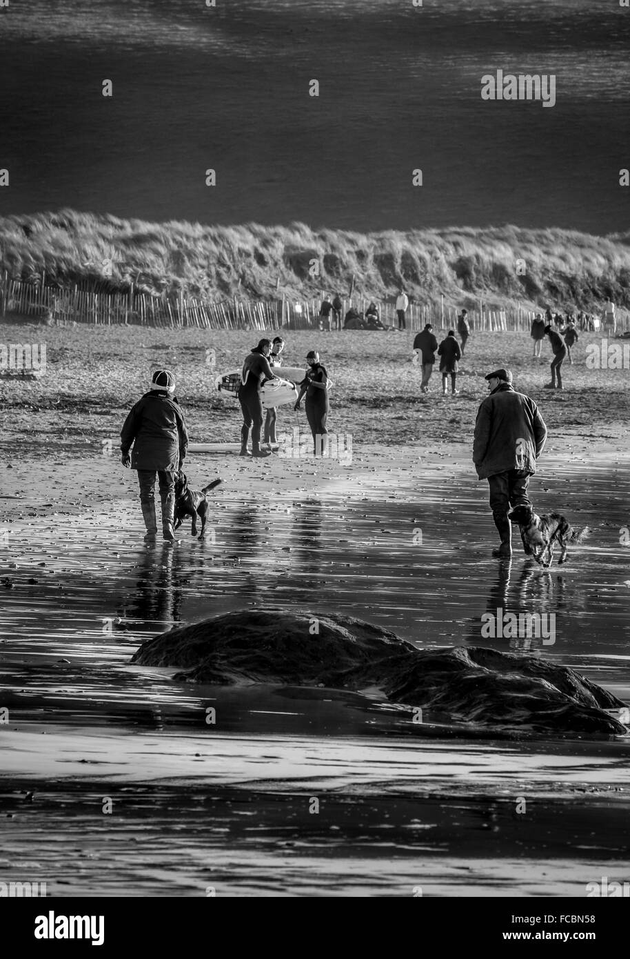 Passeggiando per i cani Foto Stock