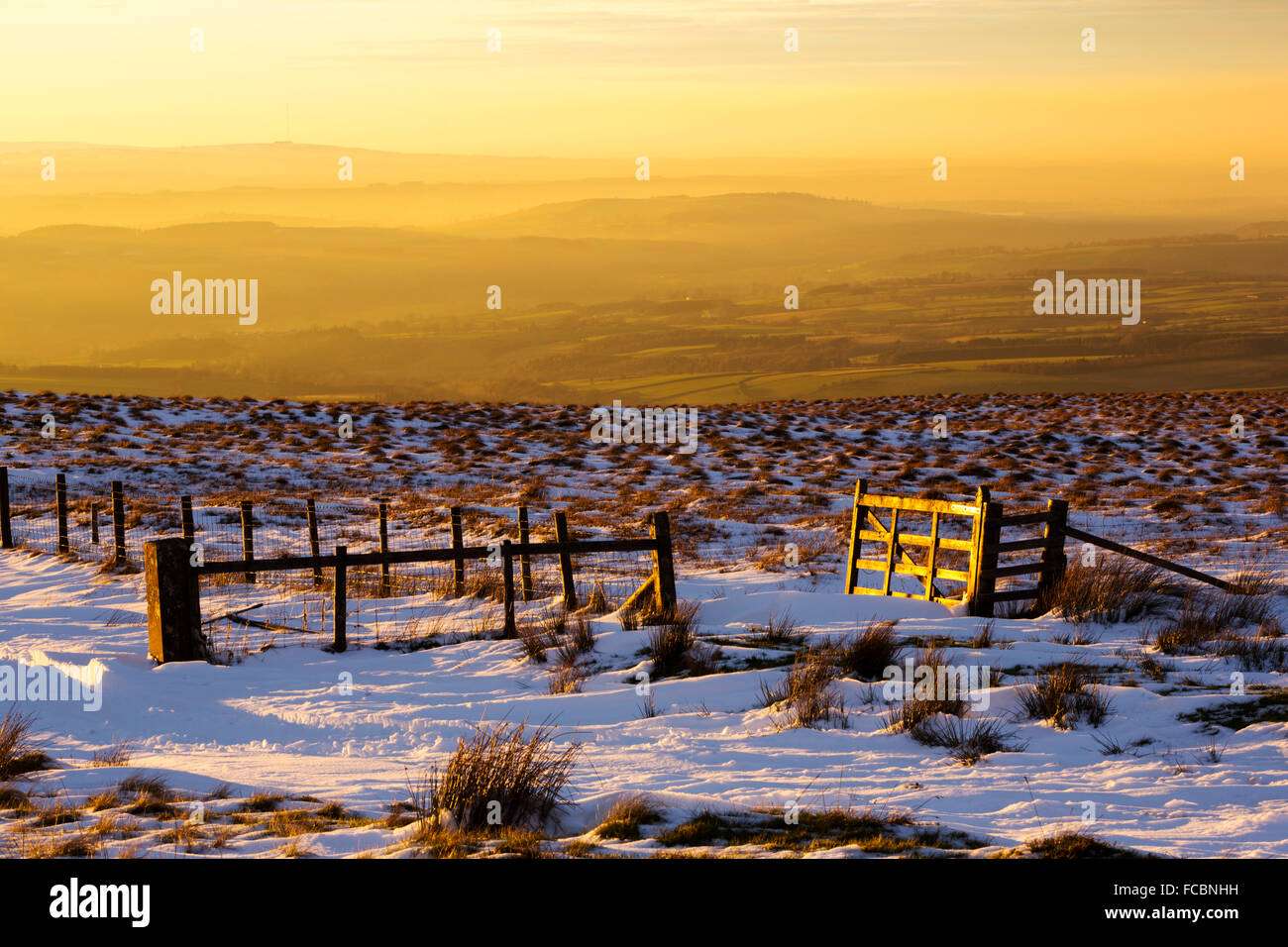 Un golden gate incandescente in tarda serata luce sulla Hartside, North Pennines, Cumbria, Regno Unito. Foto Stock