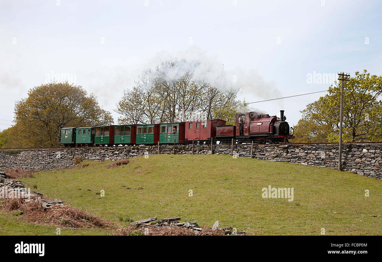 FR 'Small' Inghilterra 0-4-0SST n. 2 'Prince' approcci si discosta dalla Minffordd sul Blaenau Ffestiniog Railway durante il Gala Foto Stock